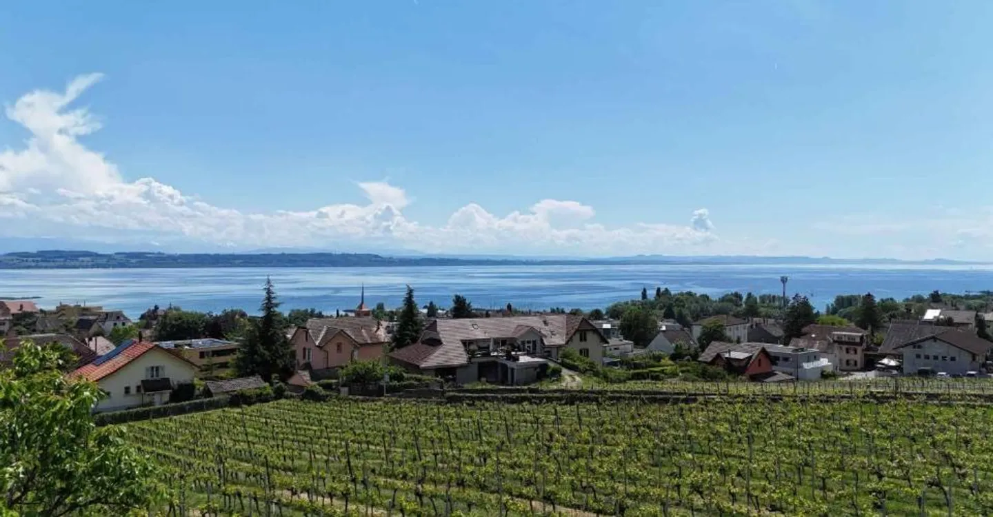 Villa de luxe avec vue lac - Photo 6 sur 13