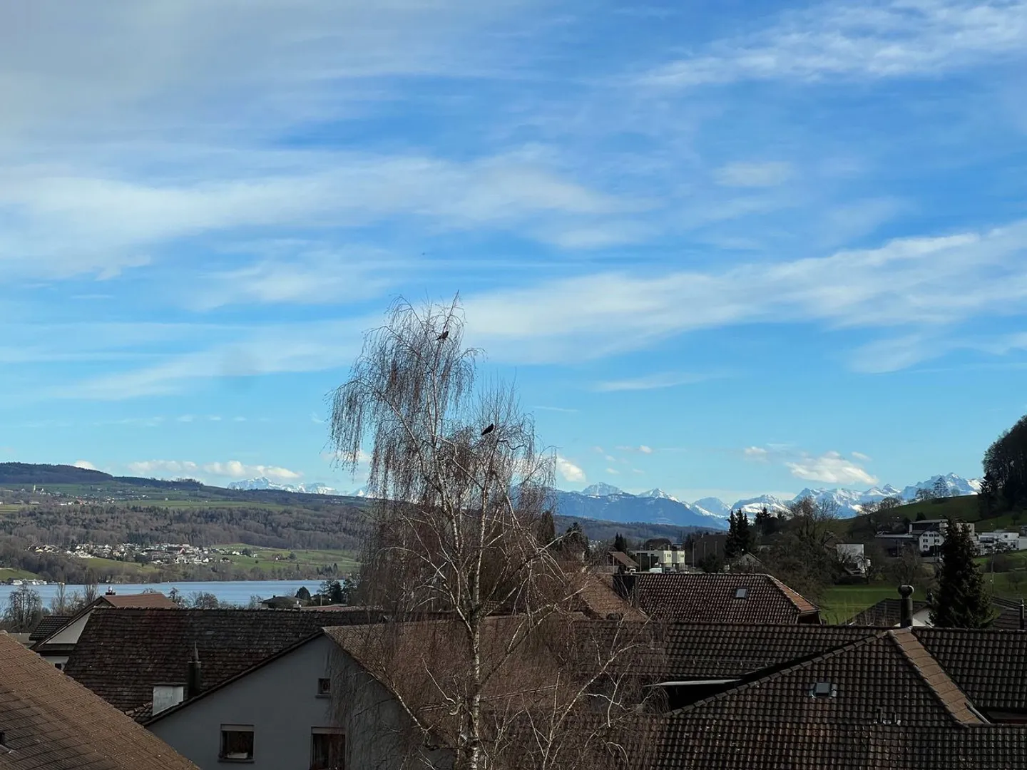 Appartement penthouse luxueux de 4,5 pièces (170m²) avec galerie et vue sur le lac - Photo 5 sur 16