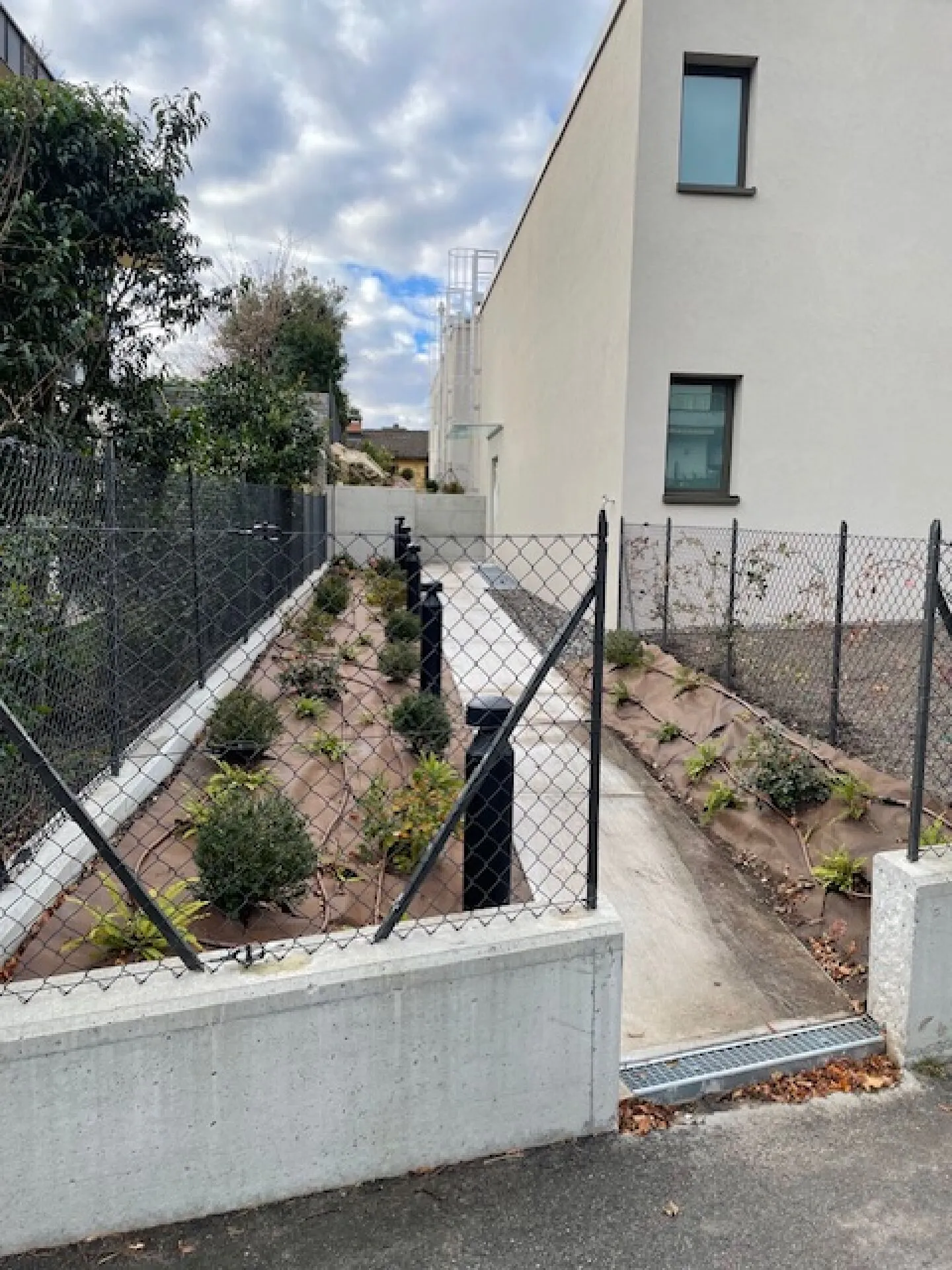 Affittiamo un bell'appartamento di 2,5 stanze con giardino - Foto 21 di 22