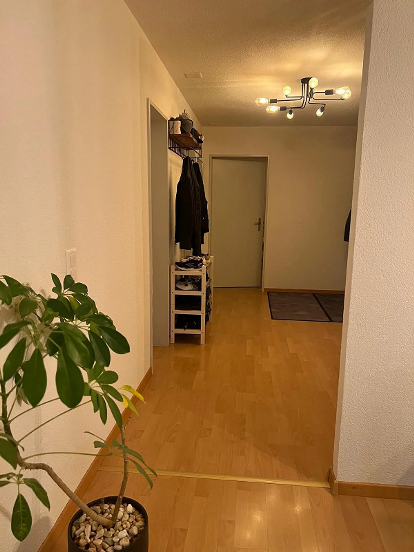 Appartement 3,5 pièces à Schliern près de Köniz - Photo 6 sur 12