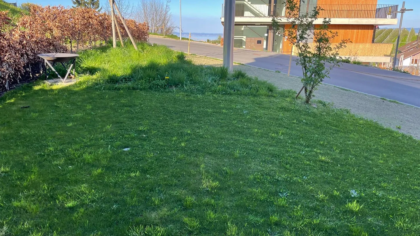 Sogno abitativo "am Rebberg 3" sopra Goldach in un quartiere residenziale tranquillo - Foto 13 di 29