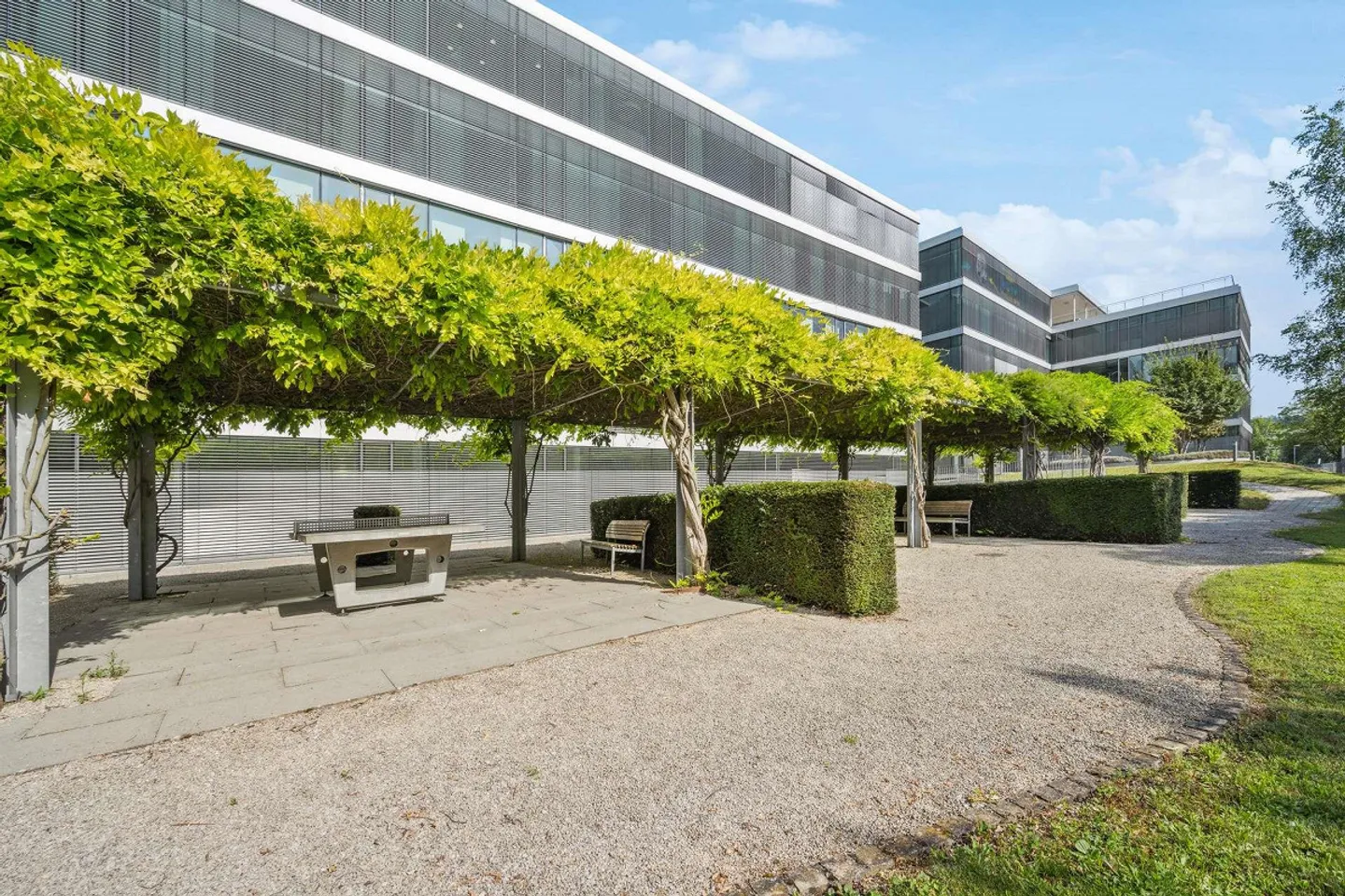 Excellentes surfaces de bureau directement sur les rives du Rhin - Photo 17 sur 21