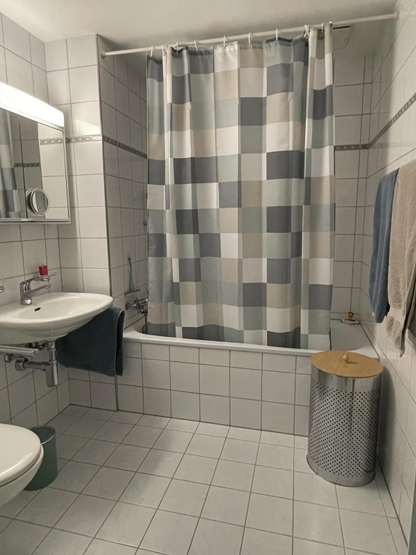 Bright 3.5 Room Garden Apartment Centrally Located - Photo 10 of 16