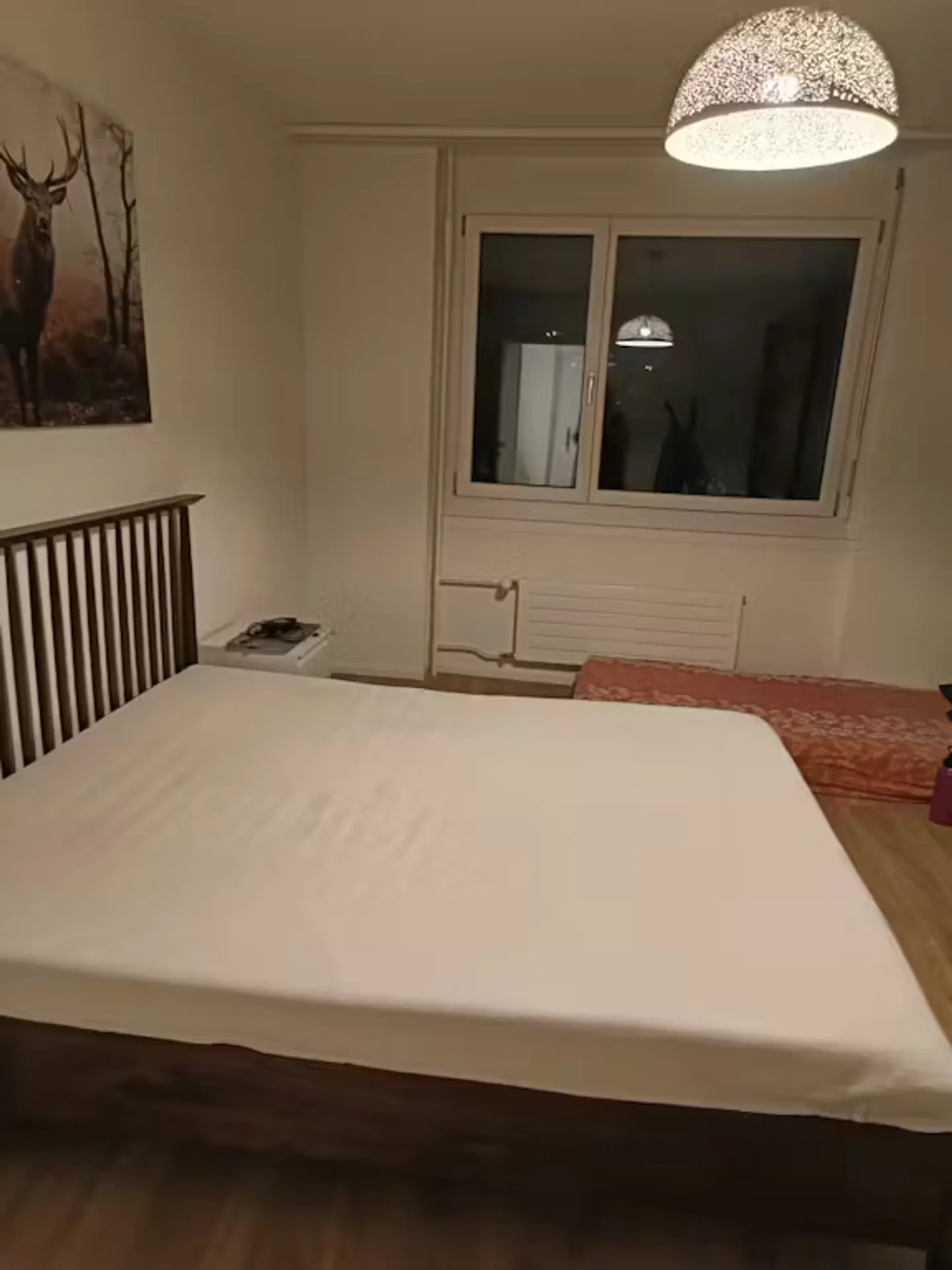 Chalet Charmant à Zurich - Photo 3 sur 6