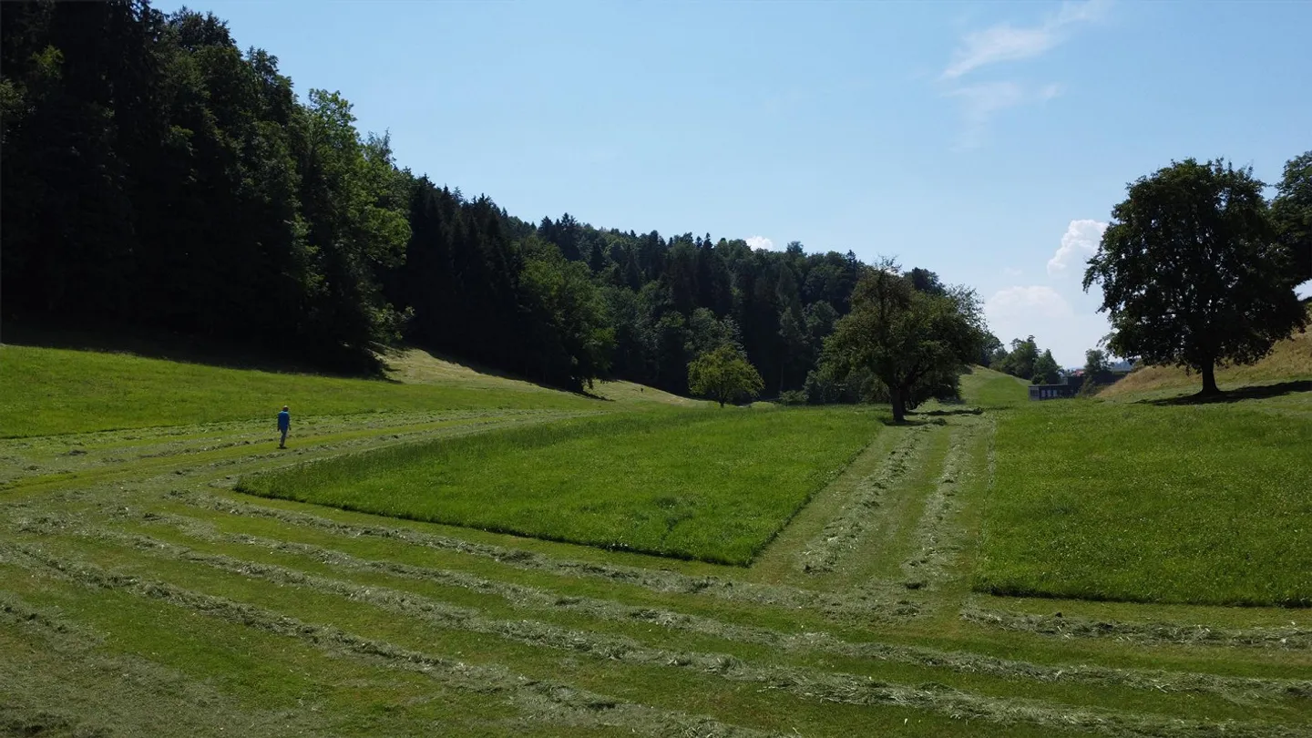 Living Oasis Adjacent to Nature Area in the East of the City of St. Gallen - Photo 6 of 17