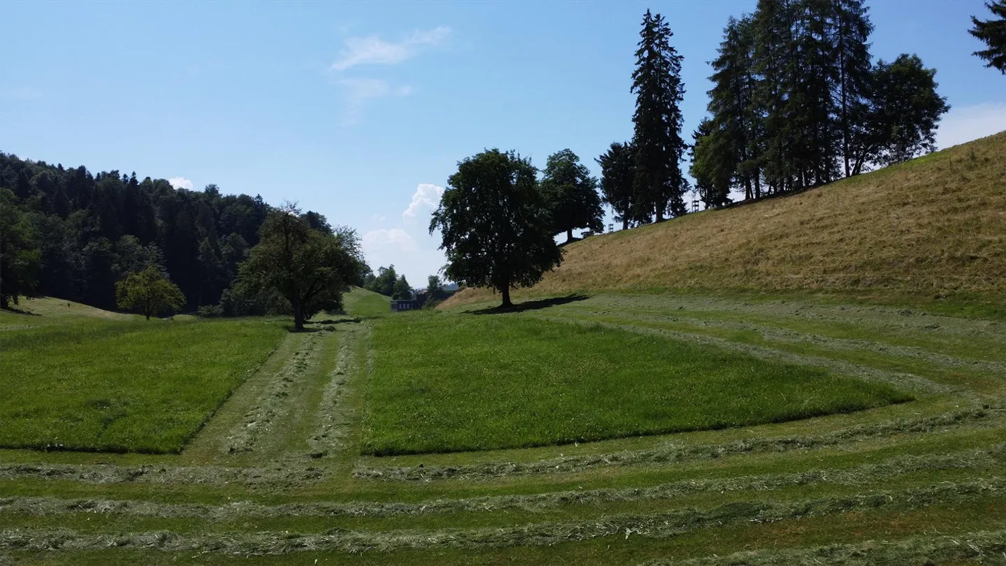 Living Oasis Adjacent to Nature Area in the East of the City of St. Gallen - Photo 5 of 17