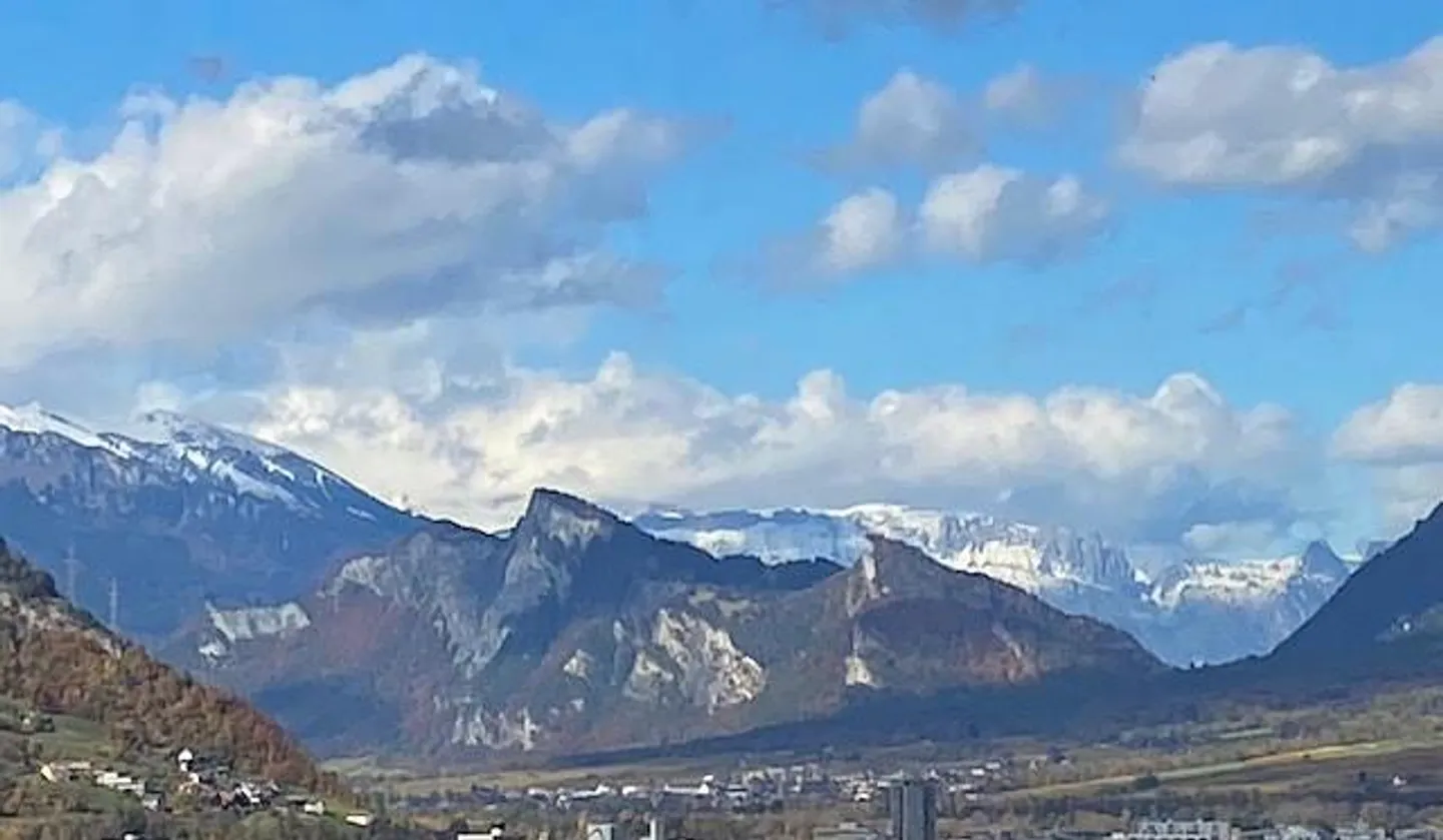 4.5-room apartment - Photo 4 of 8