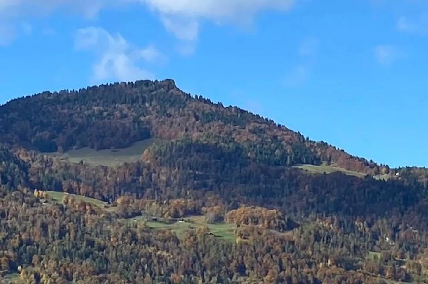 4.5-room apartment - Photo 6 of 8