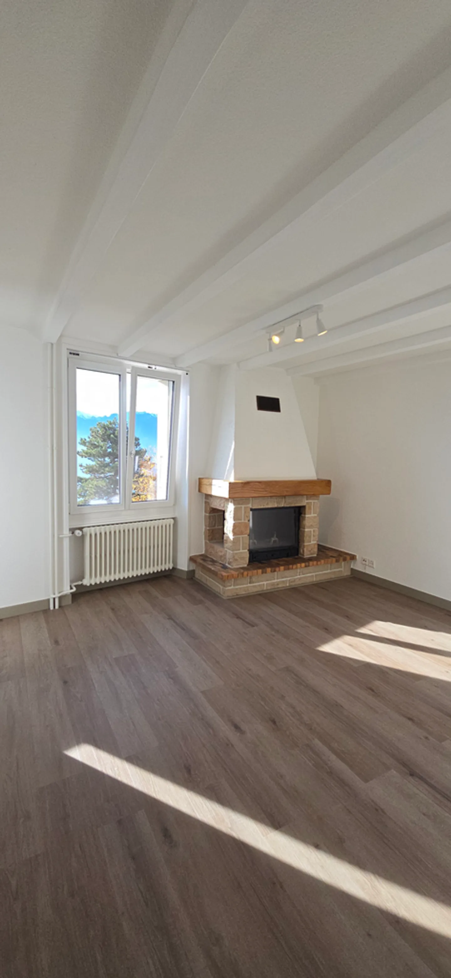 À louer ! Bel appartement 2 pièces avec une vue magnifique sur le lac ! - Photo 2 sur 9