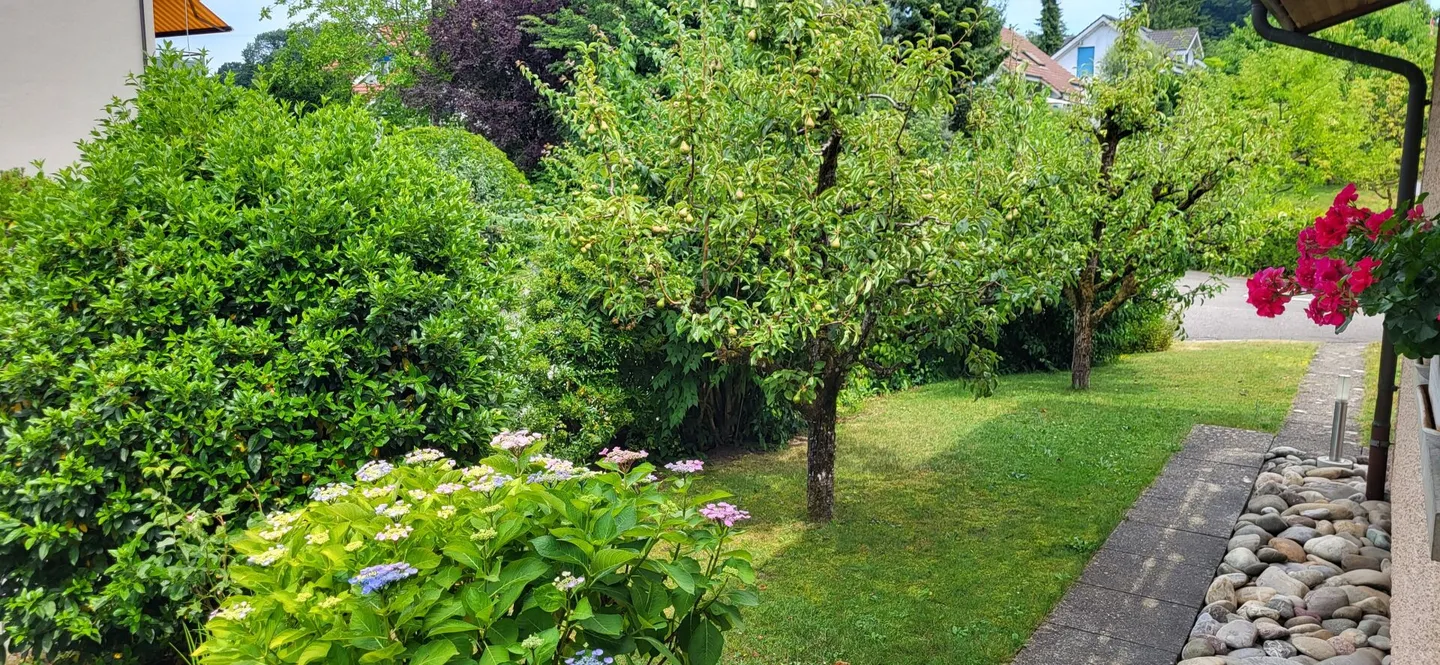 Grandi sogni su un piano - La tua casa unifamiliare di 5,5 stanze a Hausen - Foto 48 di 62