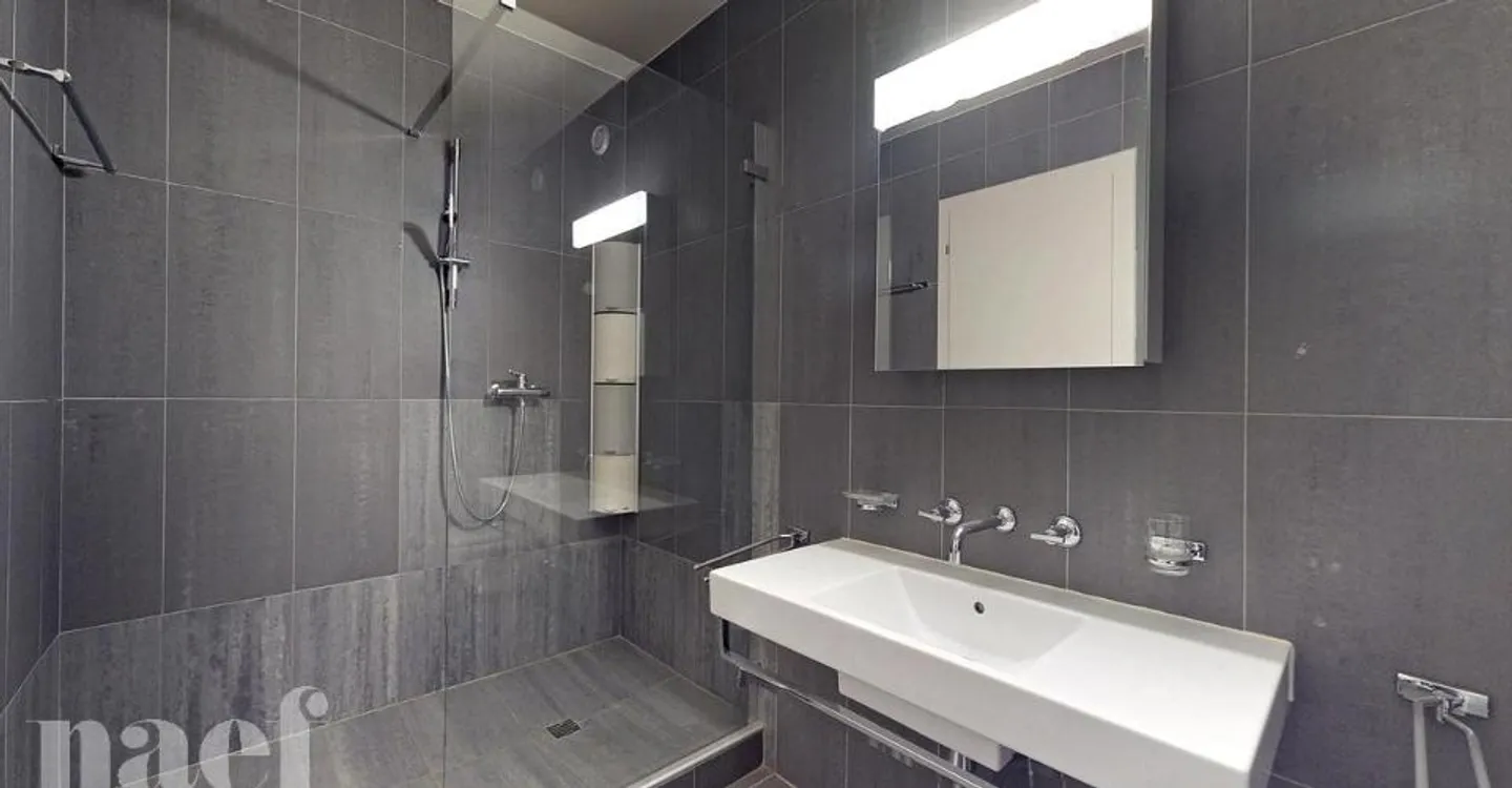 Bellissimo duplex a Carouge situato in Rue des Caroubiers 15 - Foto 11 di 11