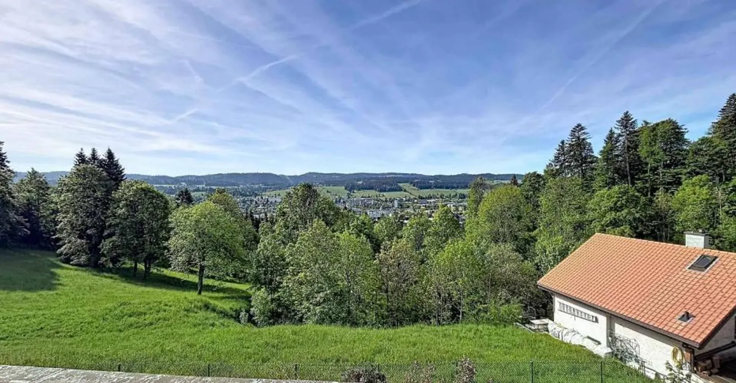 A character house to renovate on the heights of La Chaux-de-Fonds - Photo 10 of 12