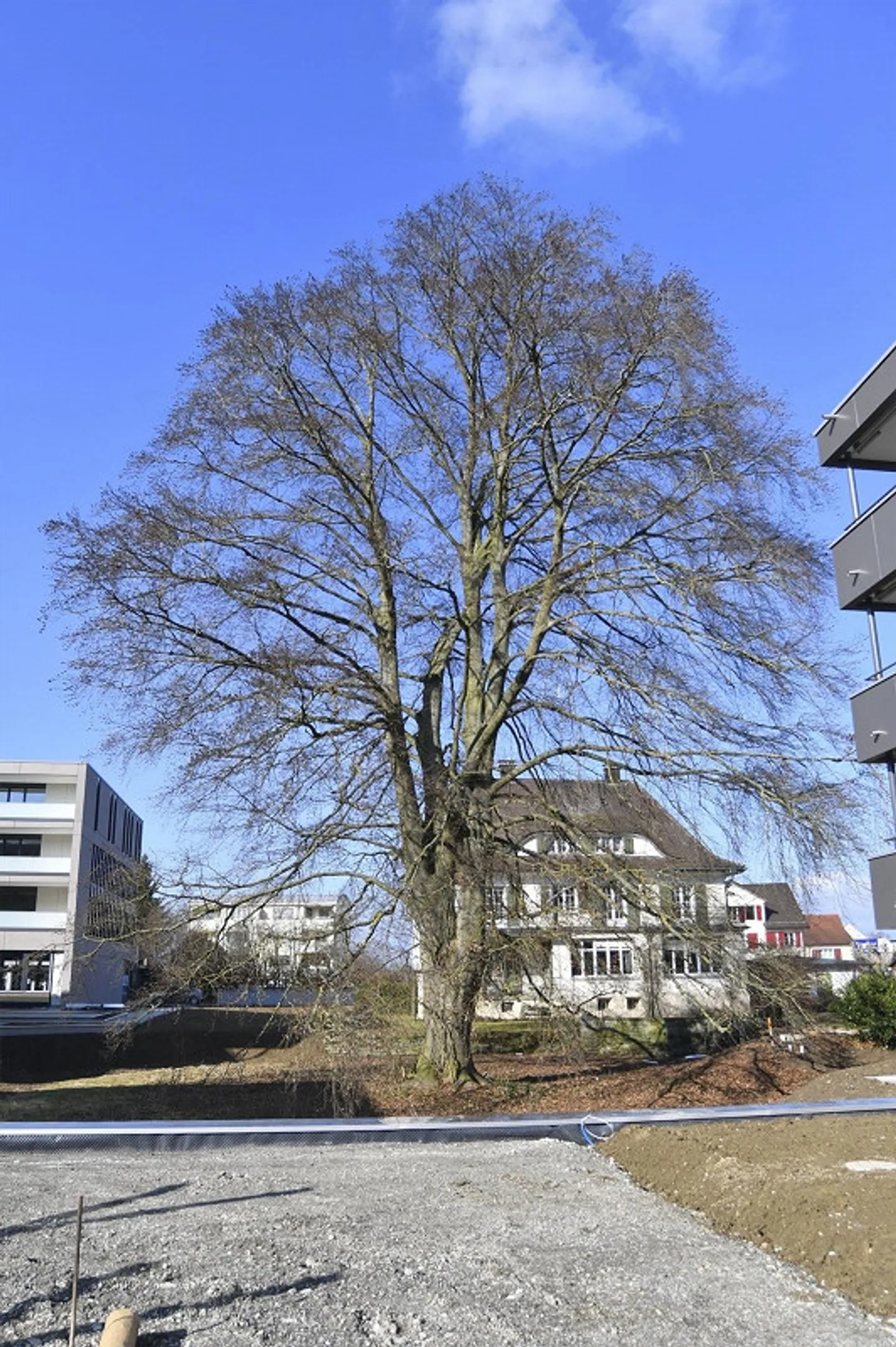 Moderne Gartenwohnung in Amriswil - Foto 18 von 25