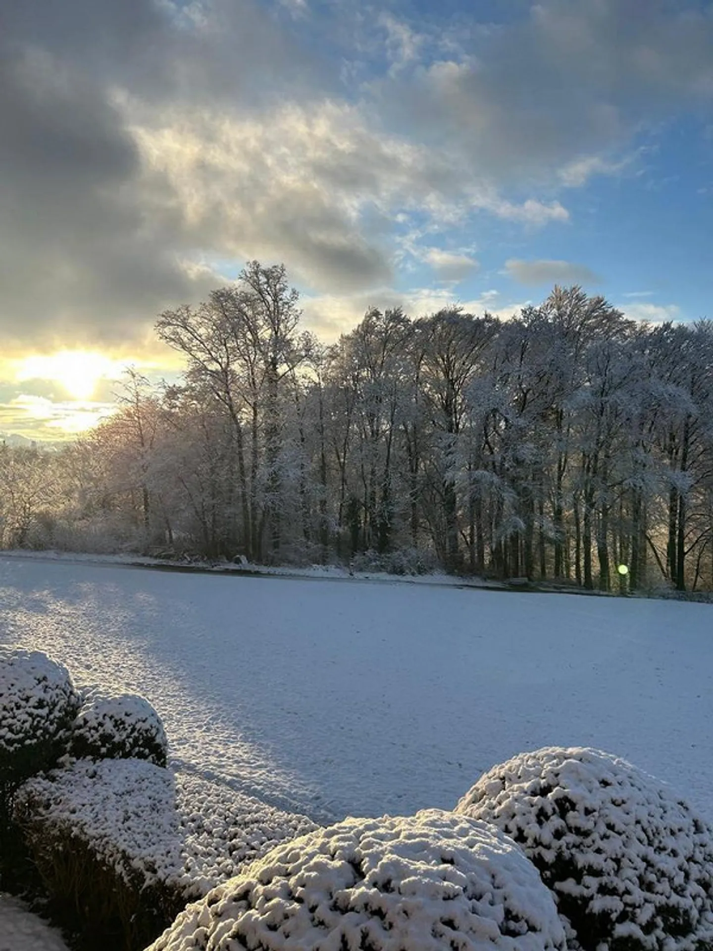 Quartier résidentiel calme avec vue sur la verdure - Photo 10 sur 10