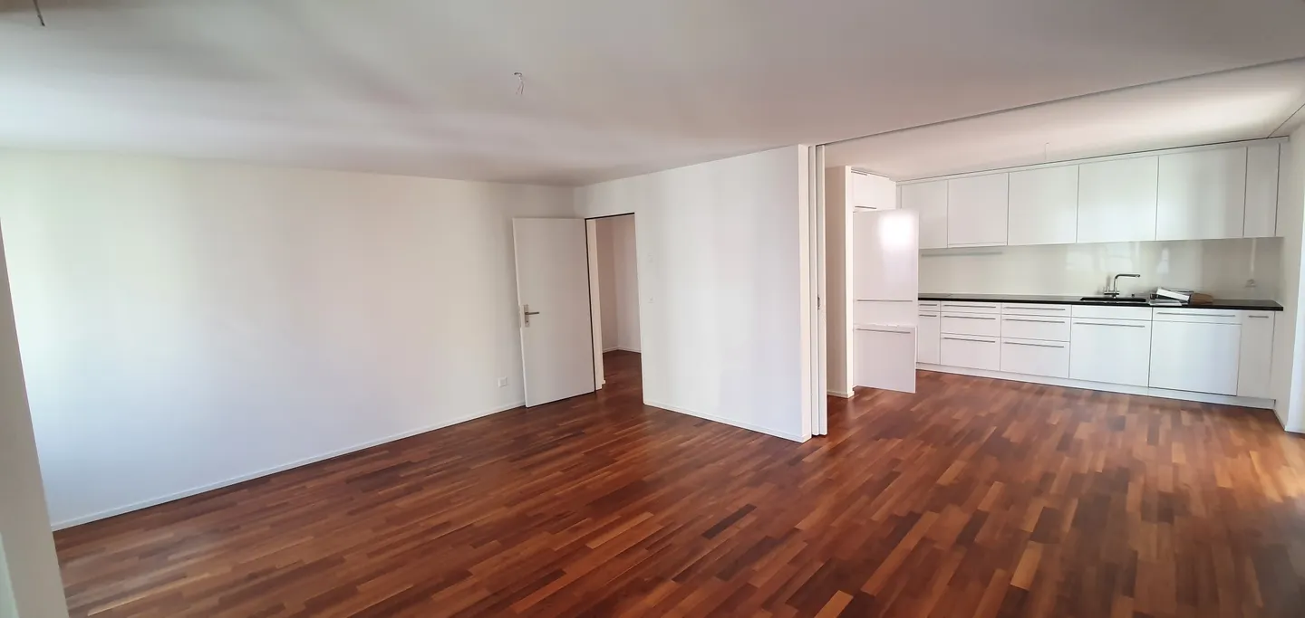Modern City Apartment at Schaffhauserplatz - Photo 2 of 9