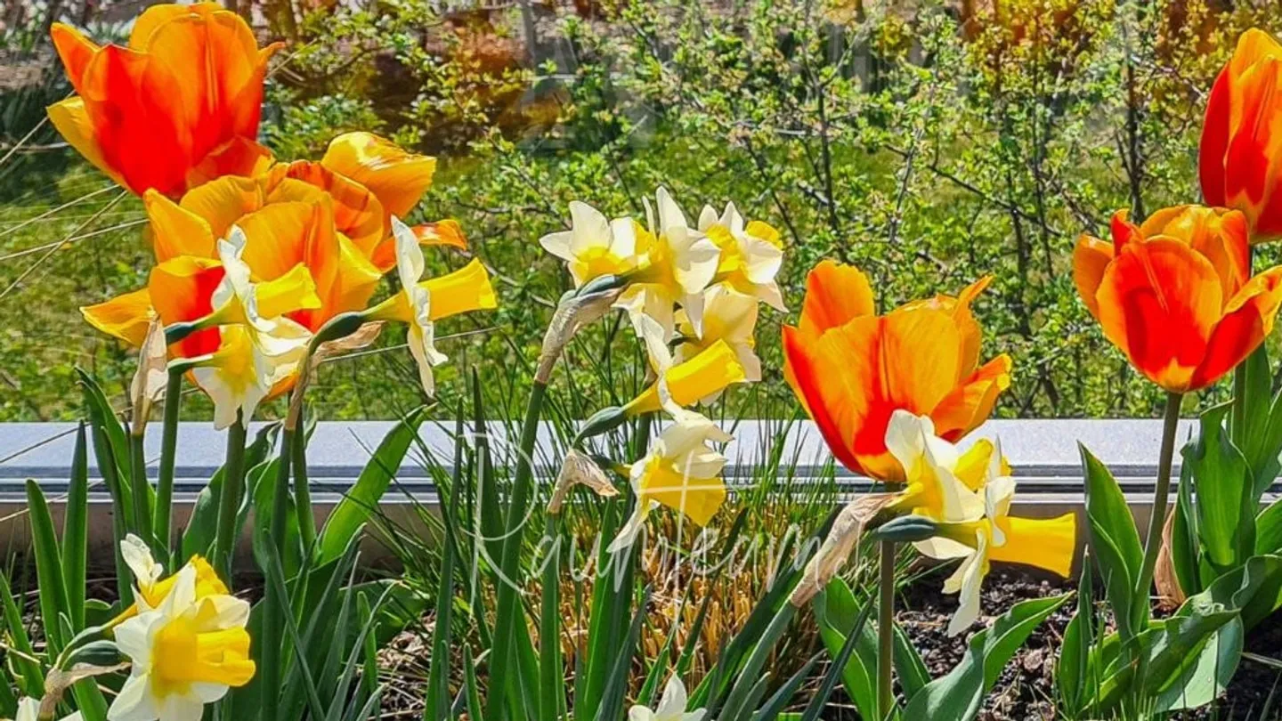 Appartement de terrasse ensoleillé et de rêve avec vue sur la montagne - Photo 14 sur 24