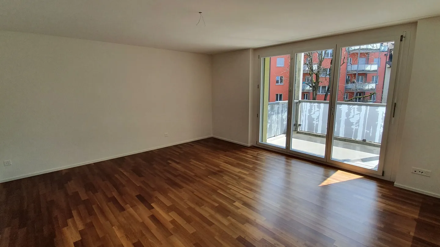 Modern City Apartment at Schaffhauserplatz - Photo 4 of 9