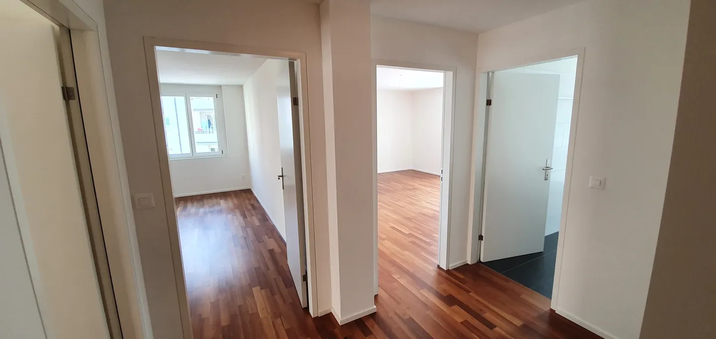 Modern City Apartment at Schaffhauserplatz - Photo 8 of 9