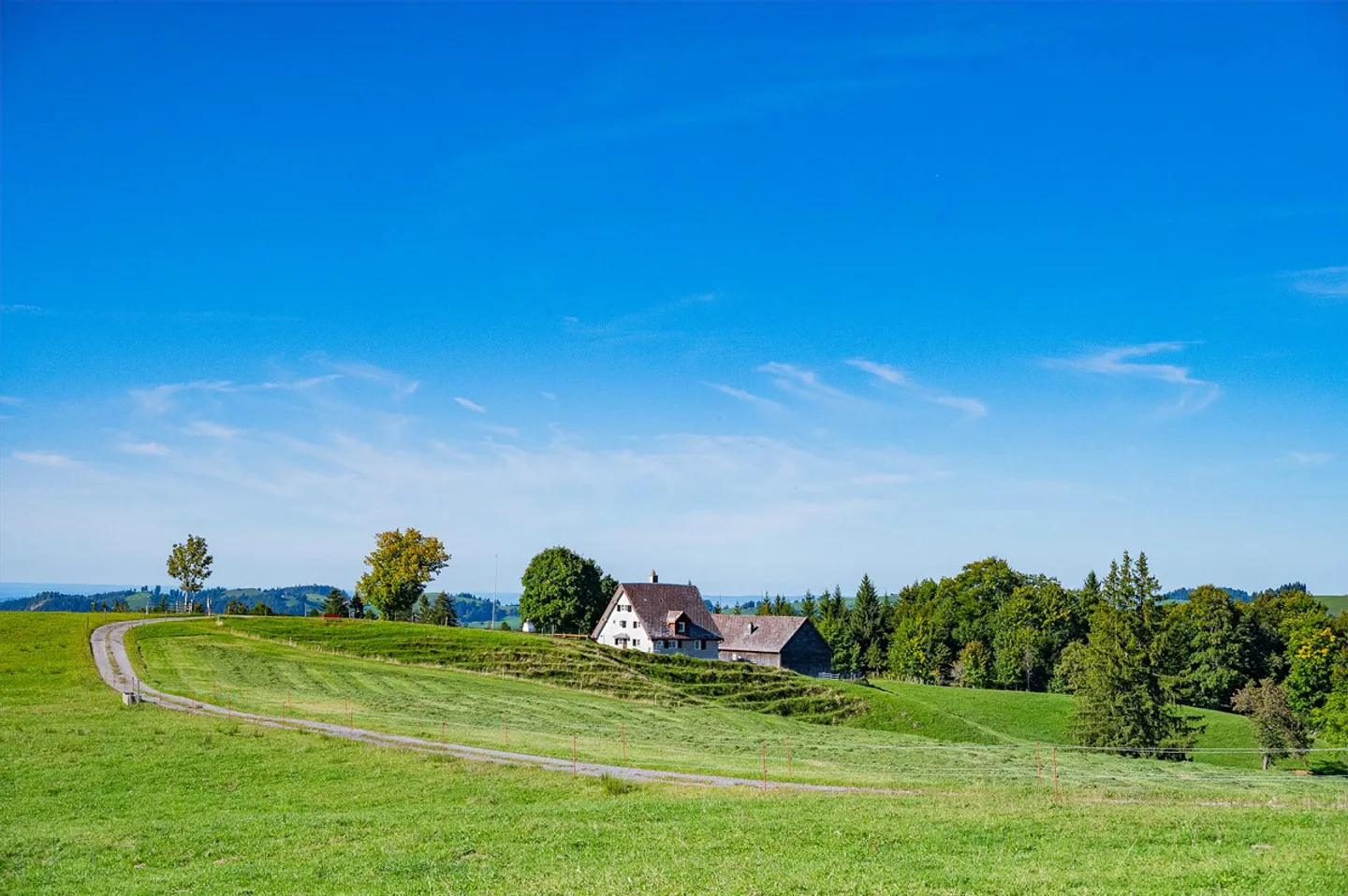 Landwirtschaftlicher Betrieb Barenegg - ca. 77 ha Gesamtfläche - Foto 3 von 6