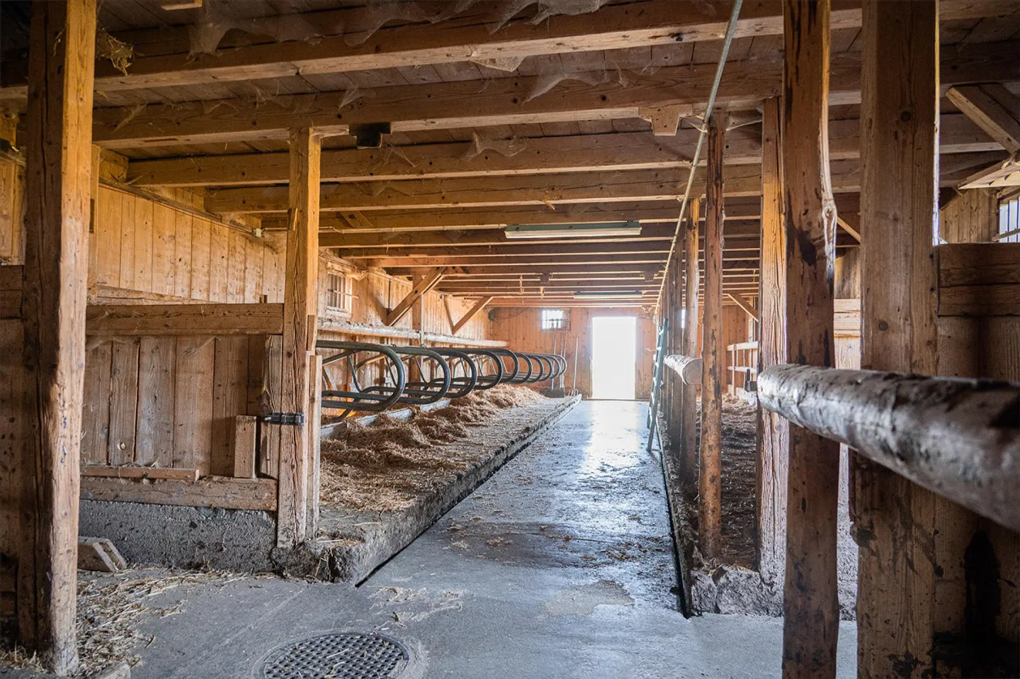 Landwirtschaftlicher Betrieb Barenegg - ca. 77 ha Gesamtfläche - Foto 4 von 6