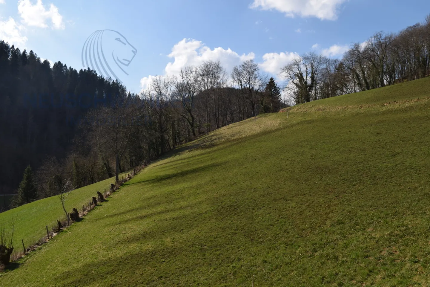 Interessante edificio vicino al Doubs, nel cuore della natura - Foto 9 di 21