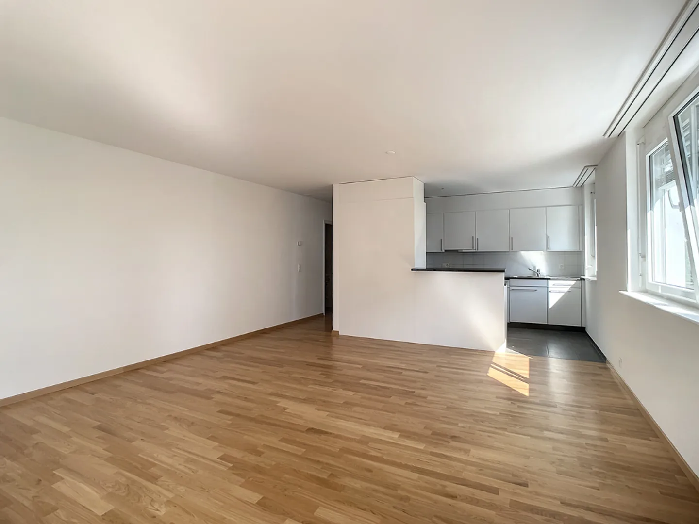 Appartement Charmant à Nyon - Photo 3 sur 8
