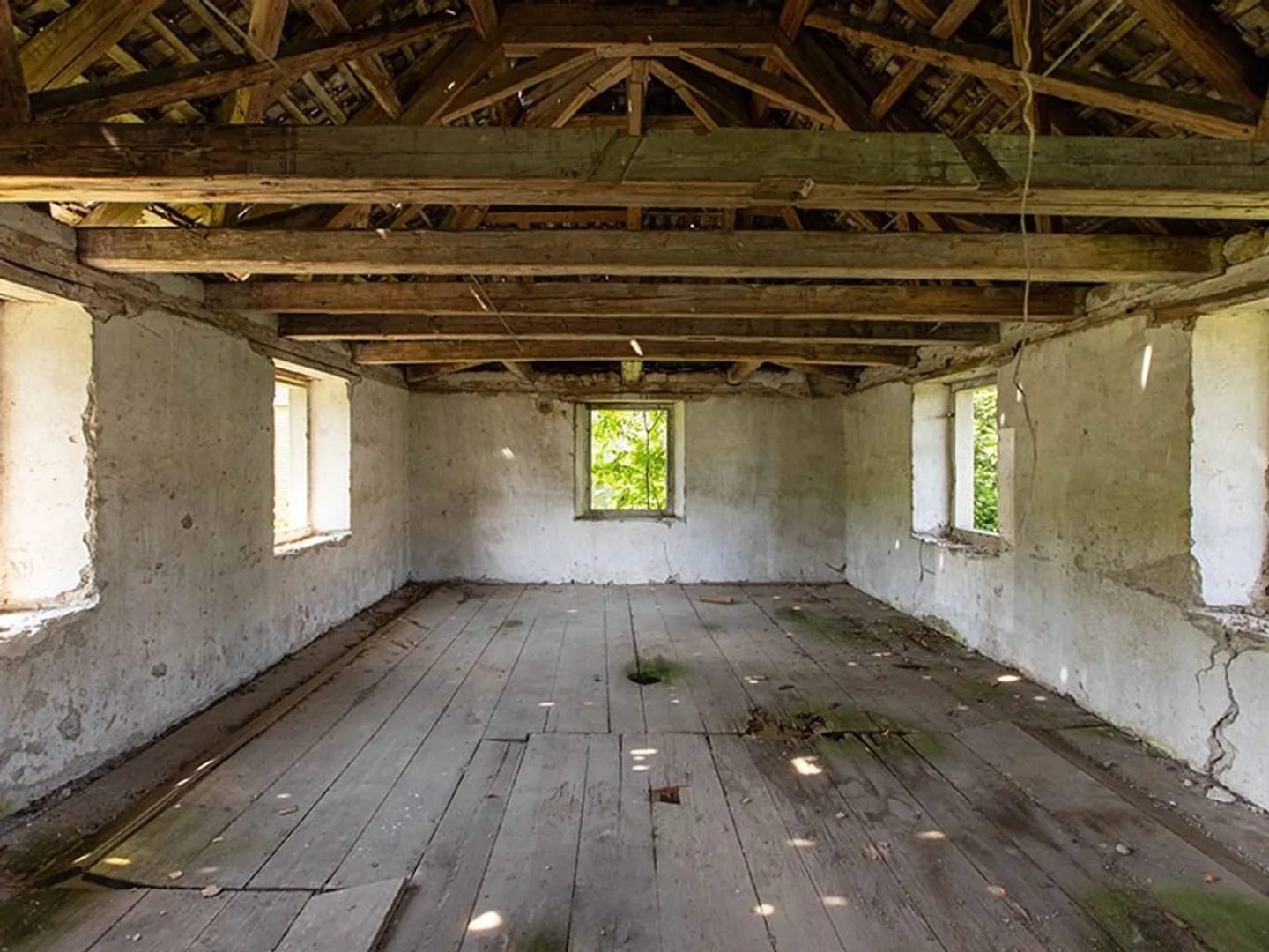 CREEKSIDE | Edlibach - Photo 4 of 12