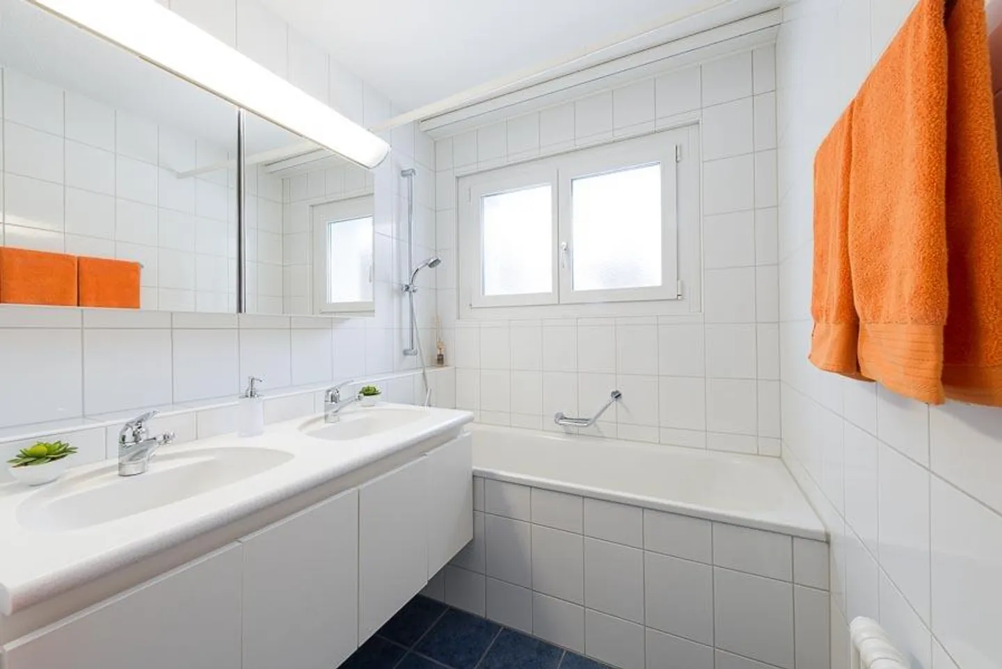 Quiet living on the mountain between Greifensee and Lake Zurich - Photo 9 of 9