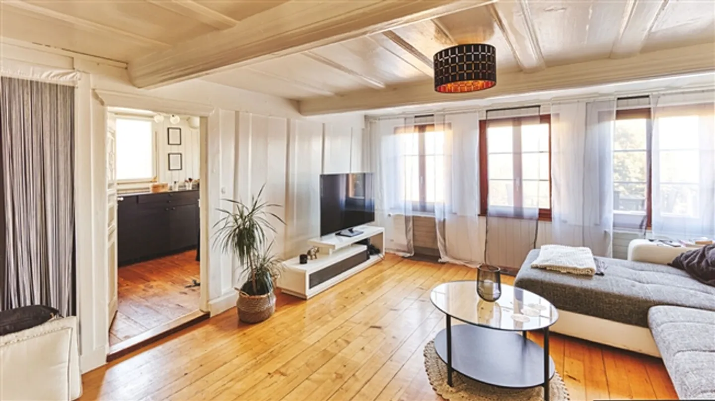 Ferme rénovée avec 3 appartements - Photo 2 sur 12