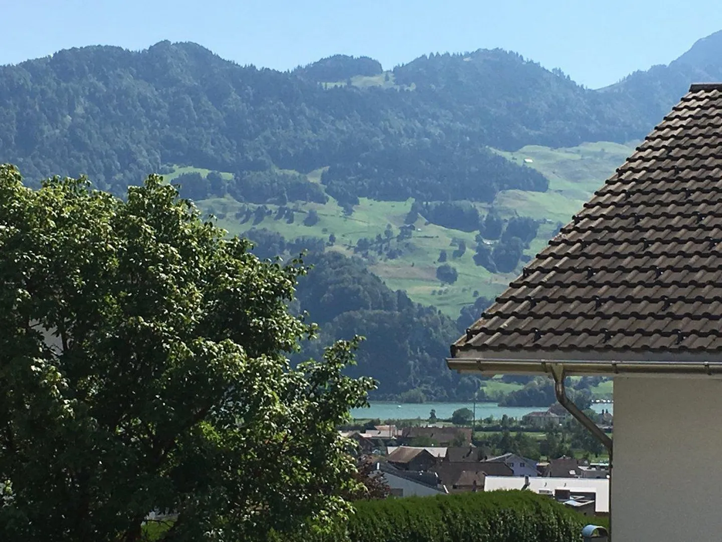 New 3 ½ - Room Apartment on the Ground Floor-East with Large Surroundings - Photo 7 of 28