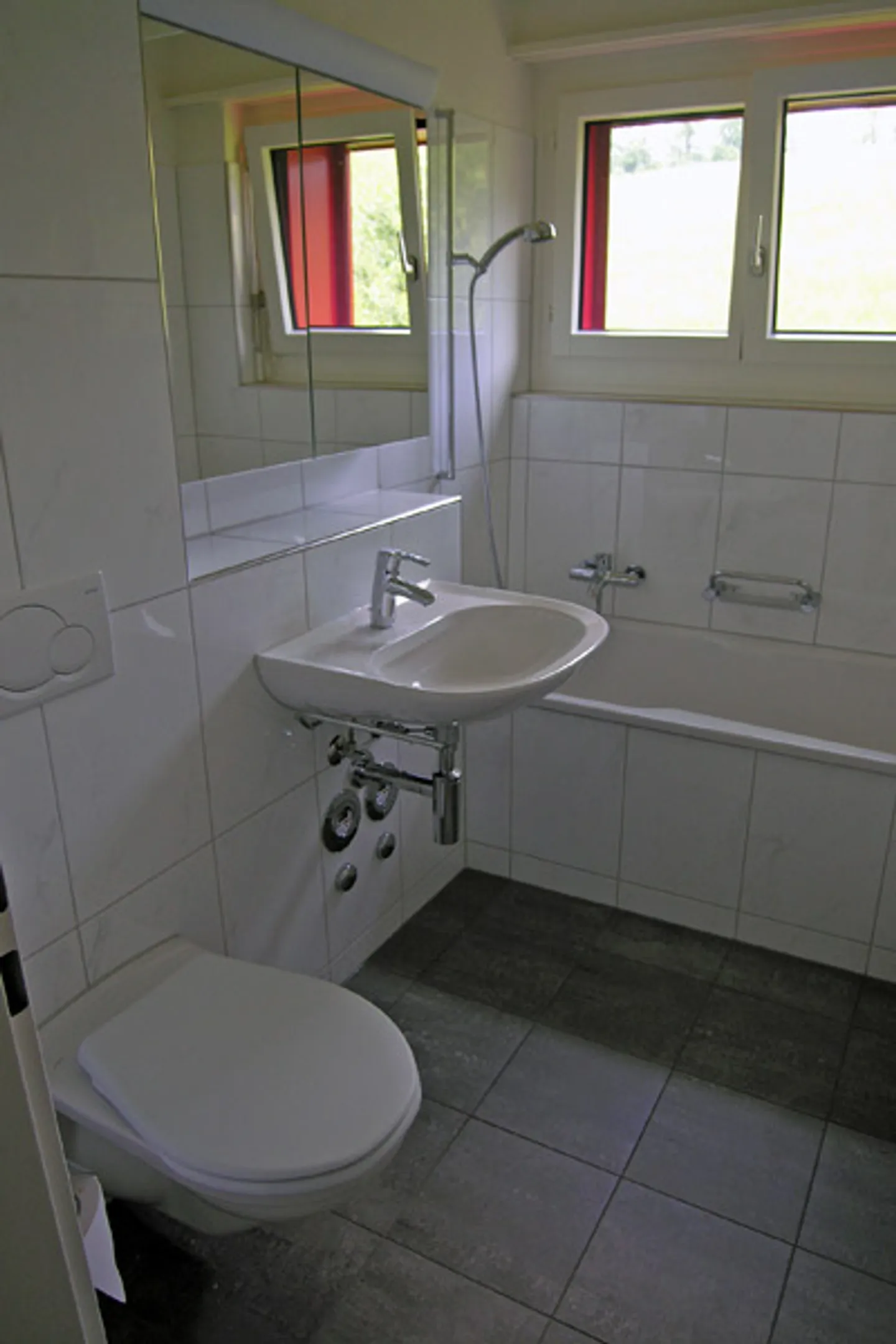 Proche du lac de Lützelsee dans un cadre de parc - Photo 3 sur 5