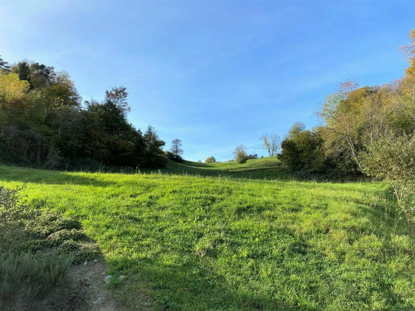 Parcela esclusiva con vista panoramica in una posizione collinare ben soleggiata - Foto 8 di 9