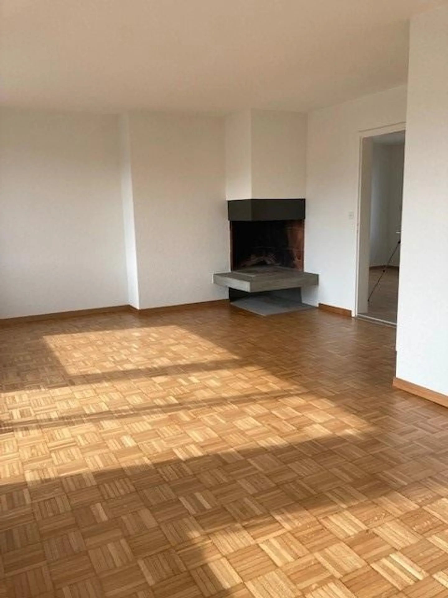 Penthouse apartment with large terrace in a quiet location - Photo 3 of 10