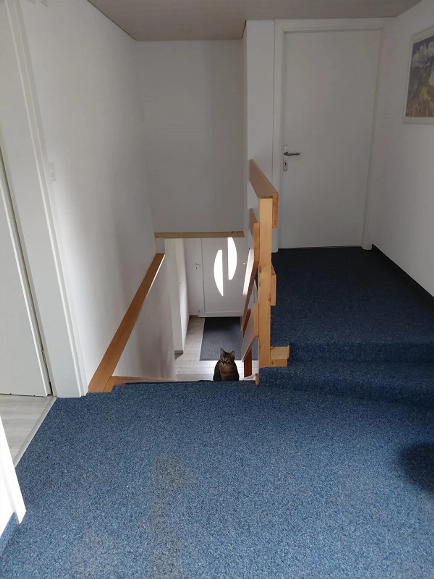 Geräumiges Familienhaus - Foto 7 von 11