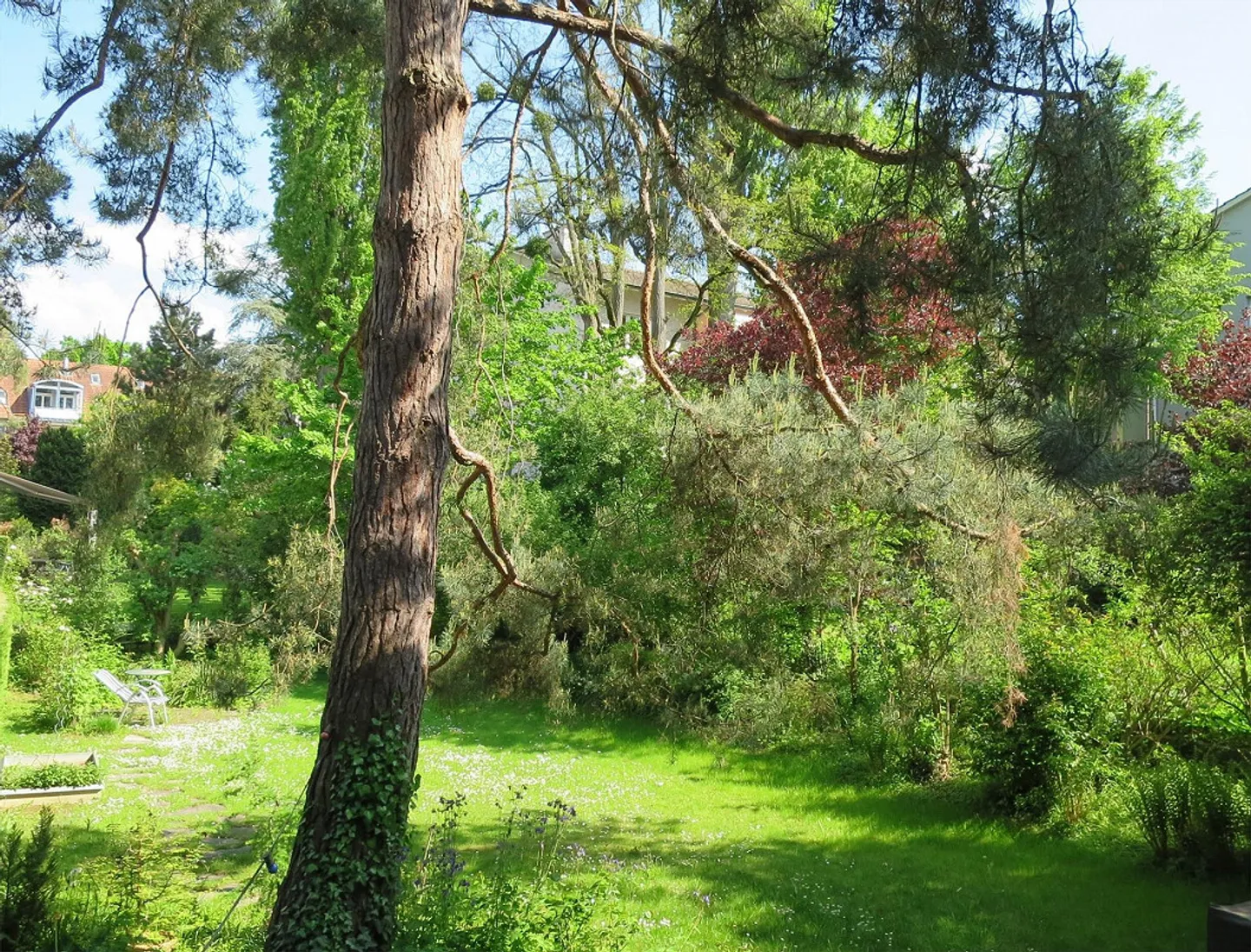 Ein Stadthaus im Grünen - Foto 4 von 21