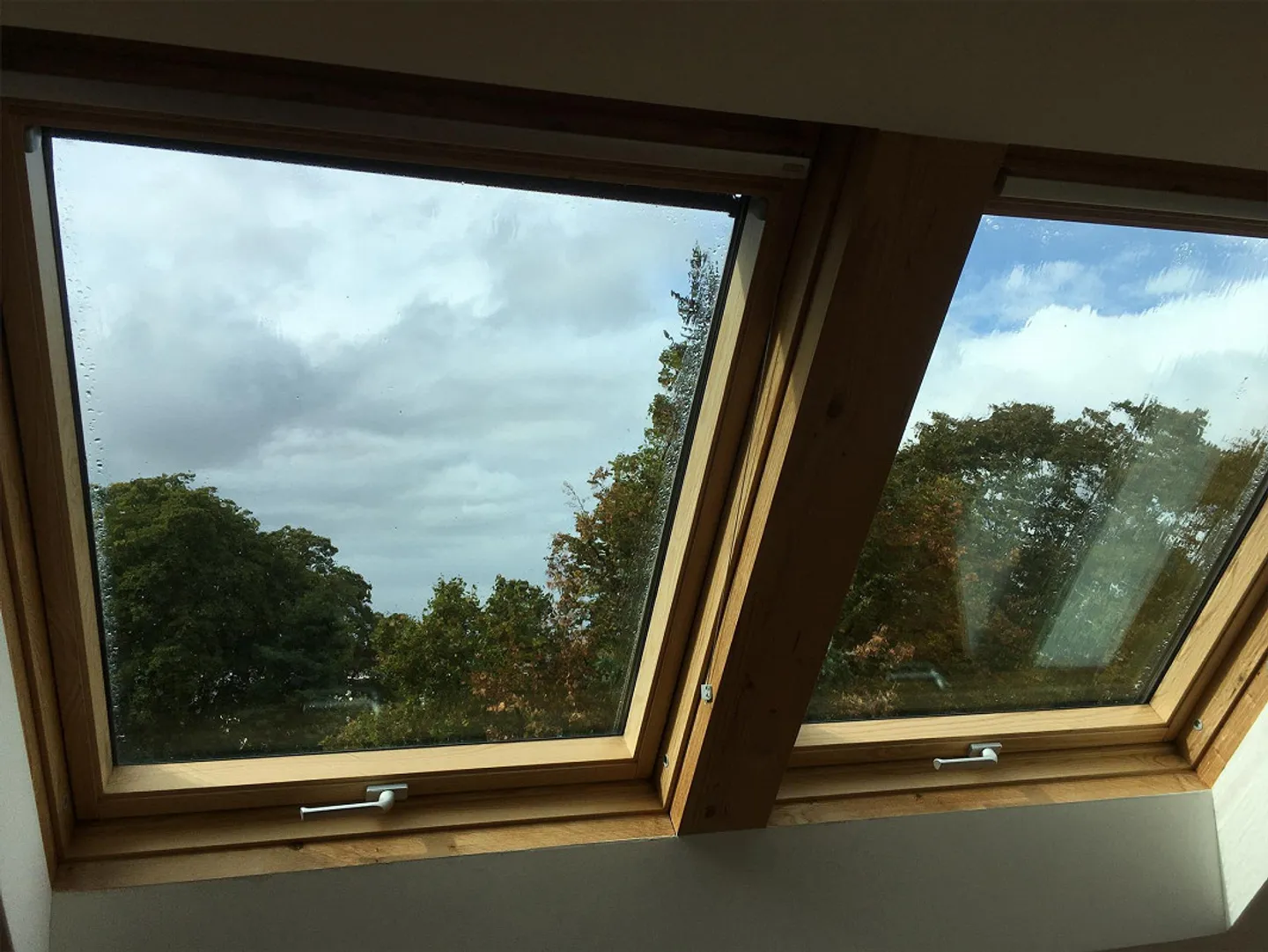 Ein Stadthaus im Grünen - Foto 21 von 21