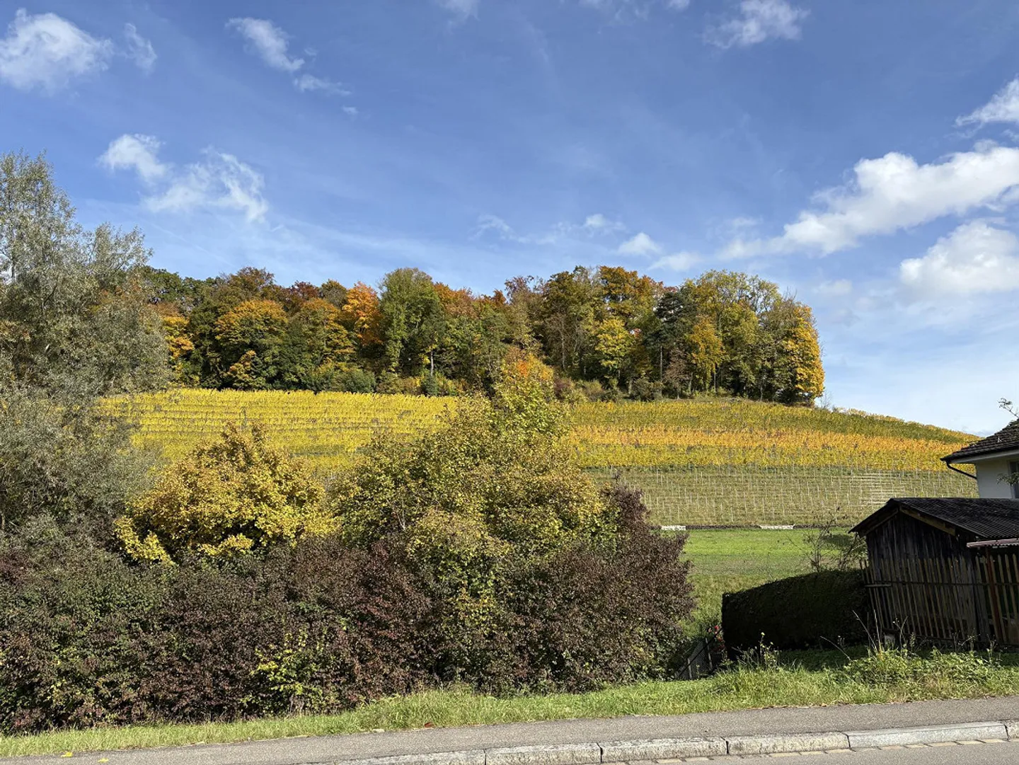 Chambre meublée avec salle de bain privée et baignoire | Vue sur le lac | Seefeld - Photo 14 sur 14