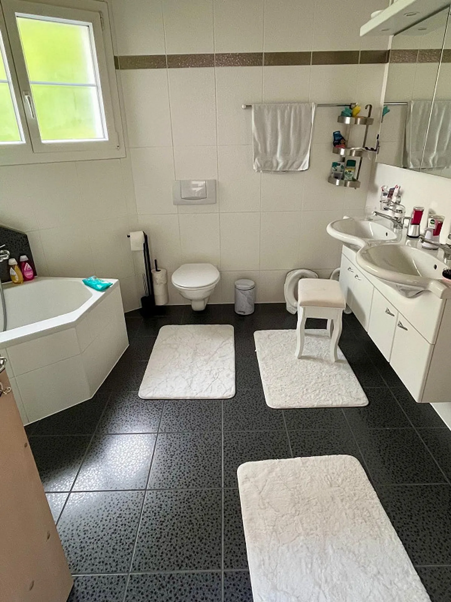 Residential idyll in Trimmis: Sunny single-family home with rental apartment - Photo 3 of 9