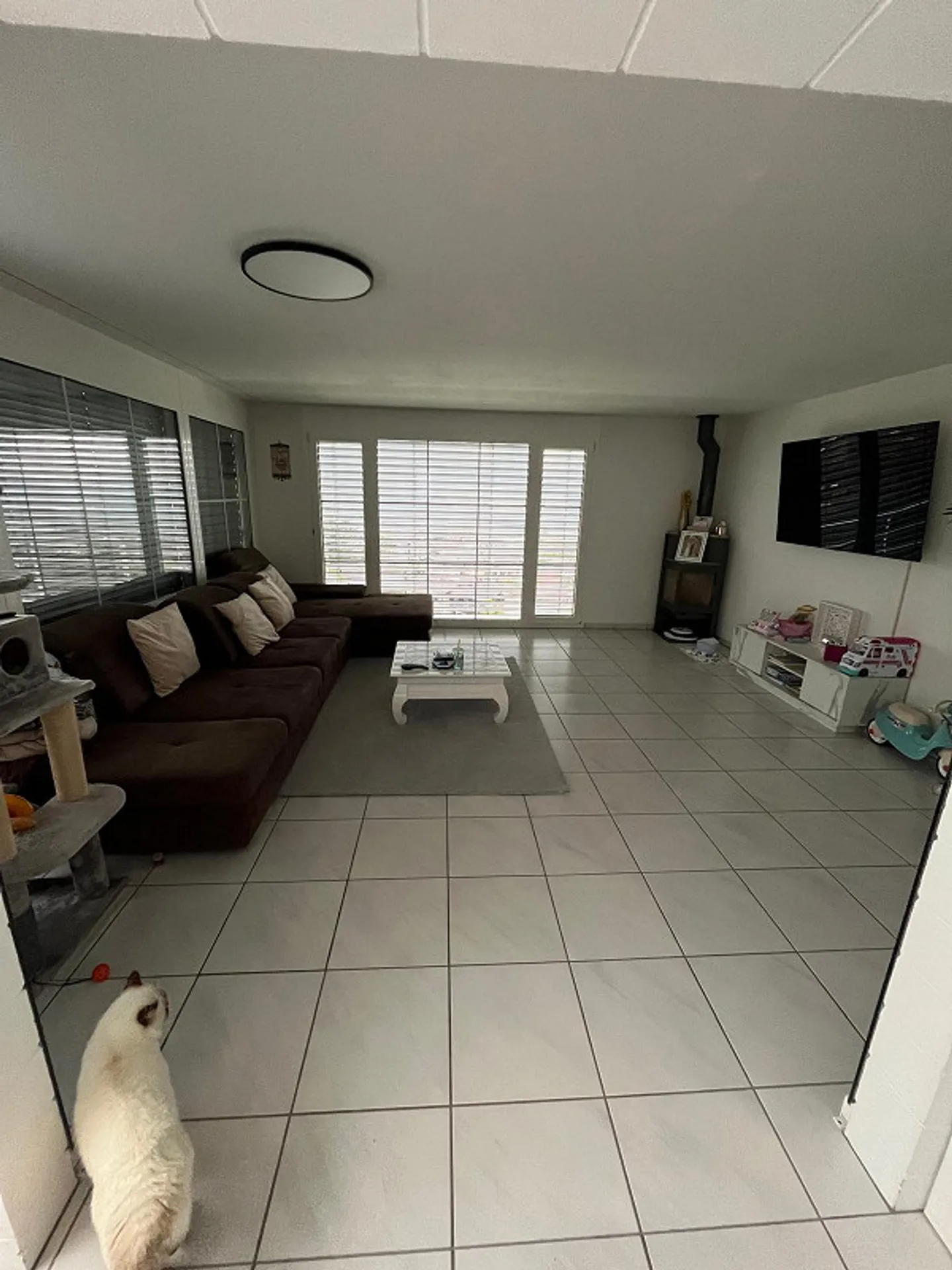 Residential idyll in Trimmis: Sunny single-family home with rental apartment - Photo 7 of 9