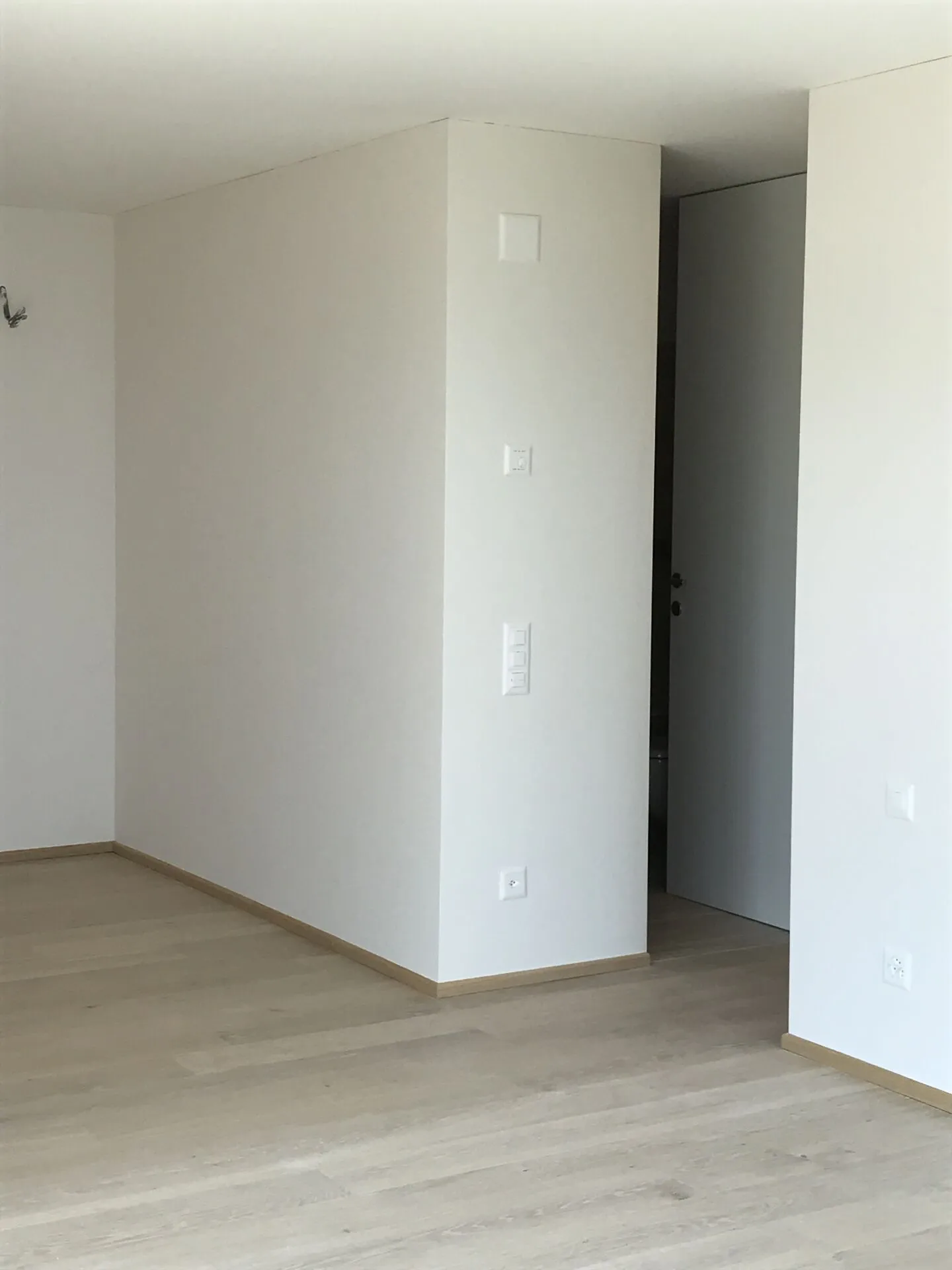 APPARTAMENTO 3.5 LOCALI CON VISTA LAGO IMPRENDIBILE - Foto 22 di 30
