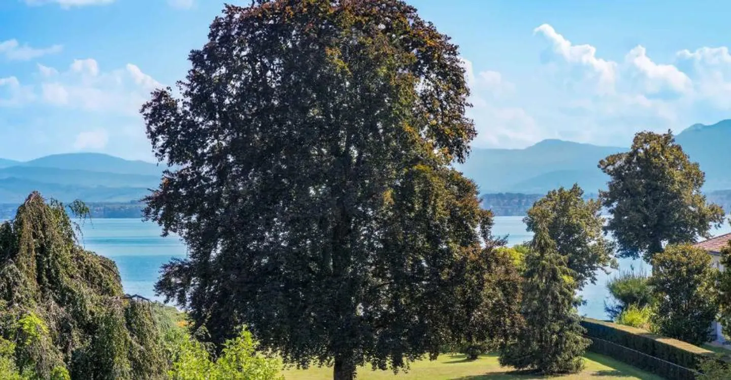 Exceptional property just steps from Lake Geneva - Photo 10 of 11