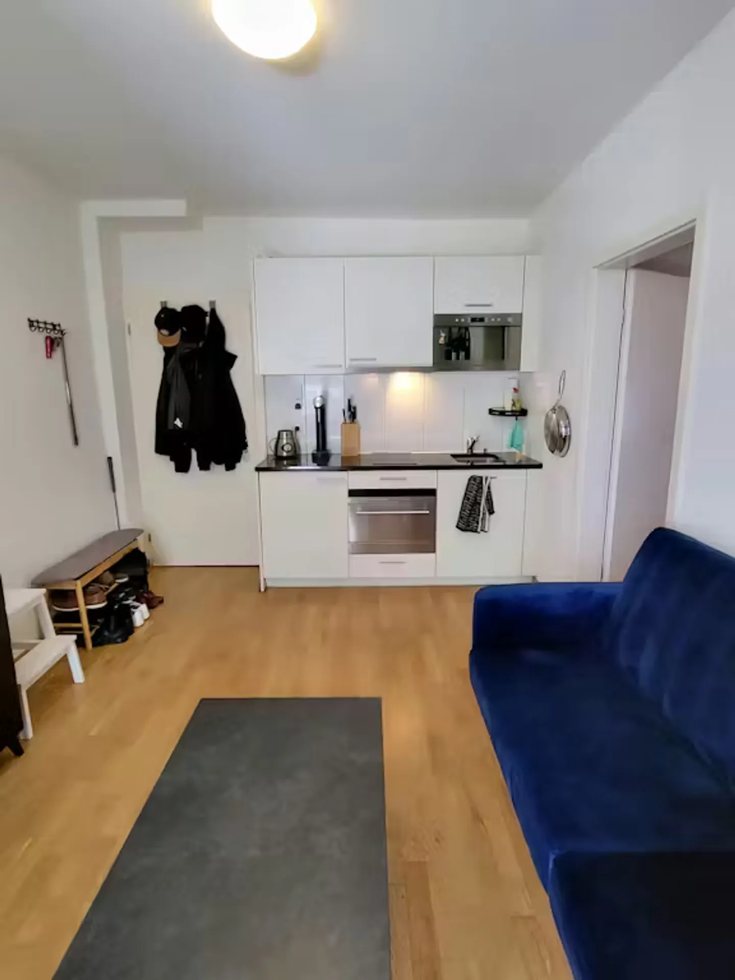 Charming Apartment in Zürich - Photo 2 of 8