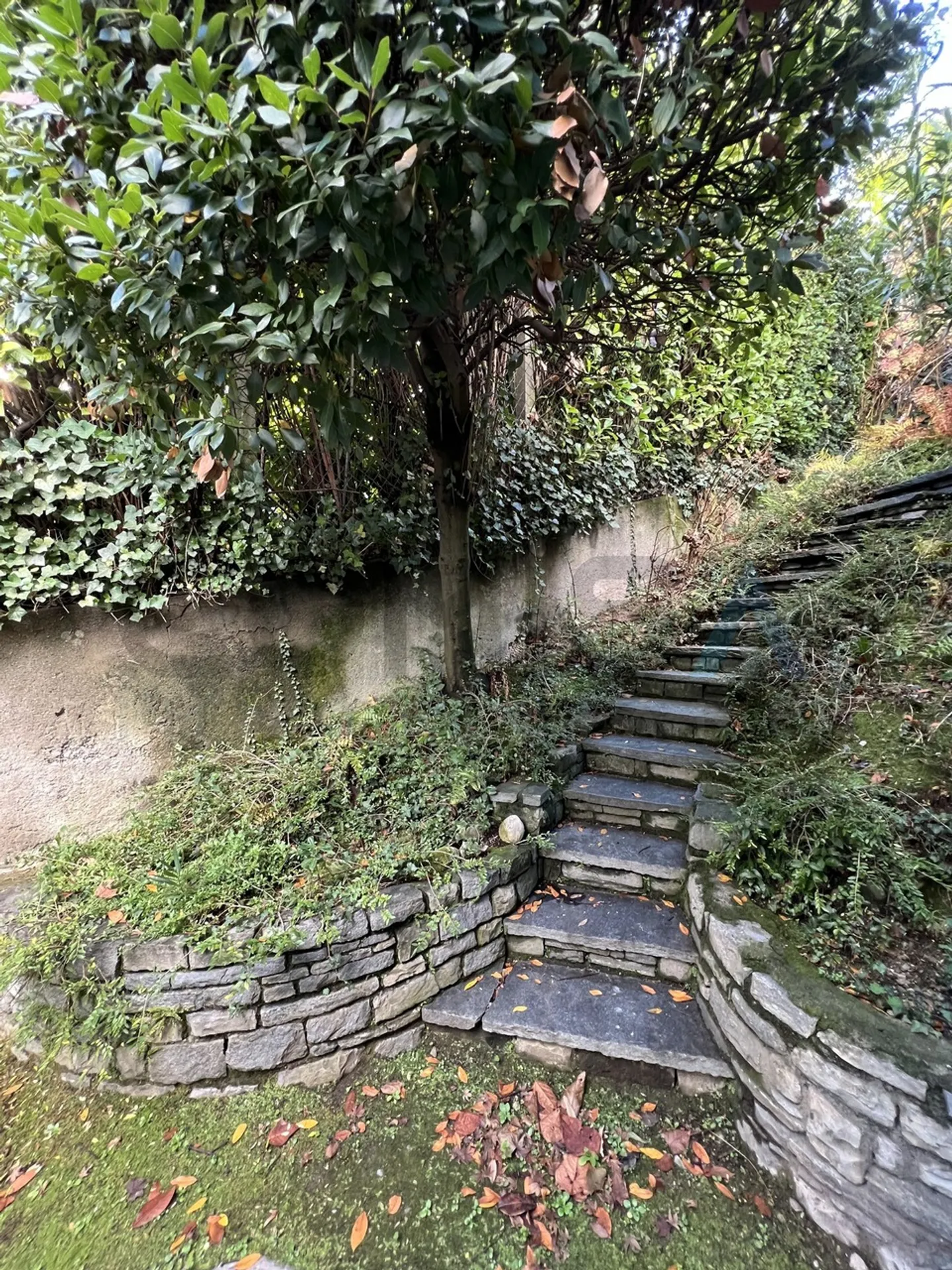 LUGANO MODERN APARTMENT 3 ROOMS A FEW STEPS FROM THE CENTER - Photo 13 of 13