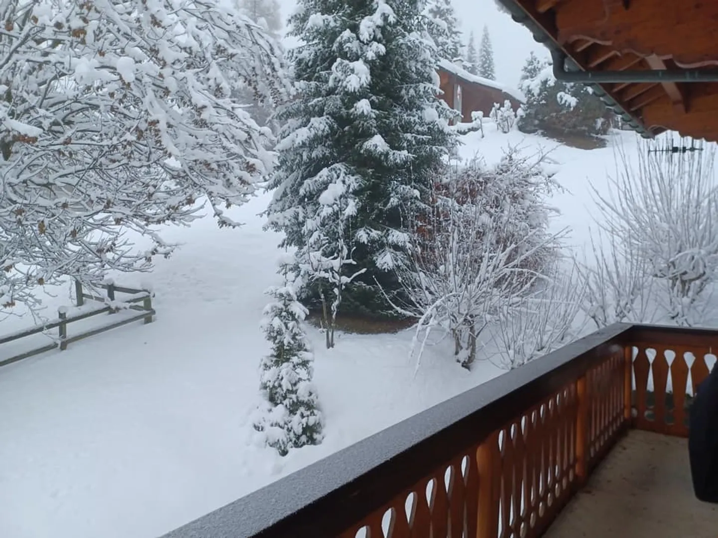 Affitto settimanale - Appartamento N°10 PPE Panoramique B - Foto 11 di 13