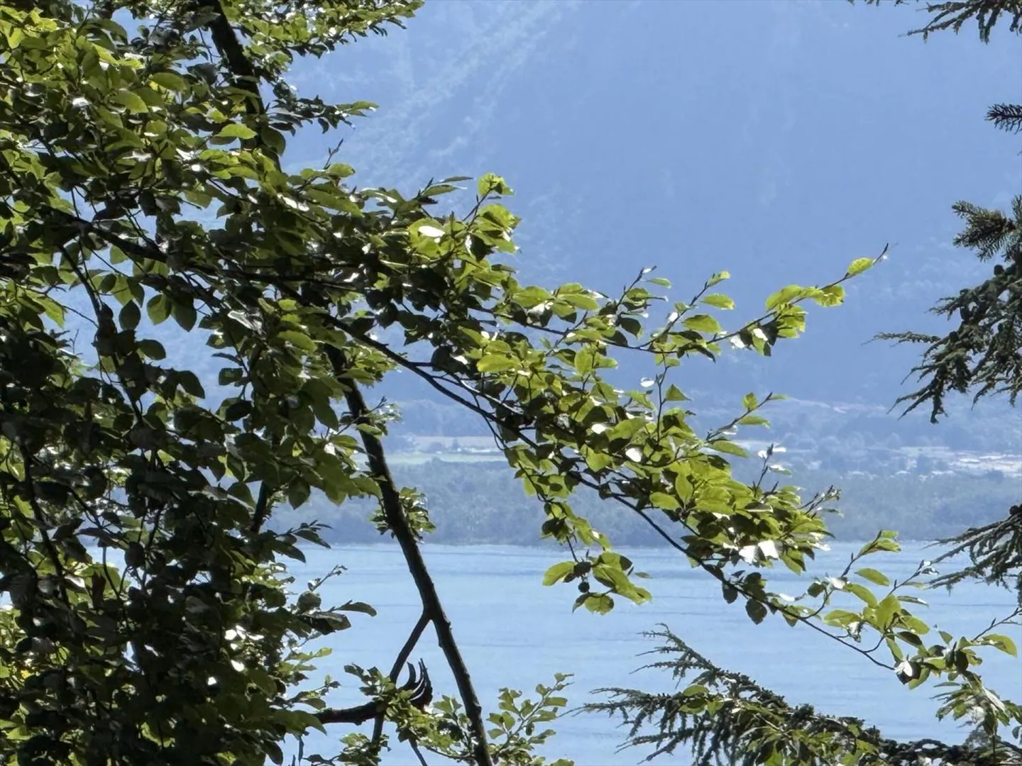 Villa 5.5 Zimmer in Blonay - Foto 1 von 13