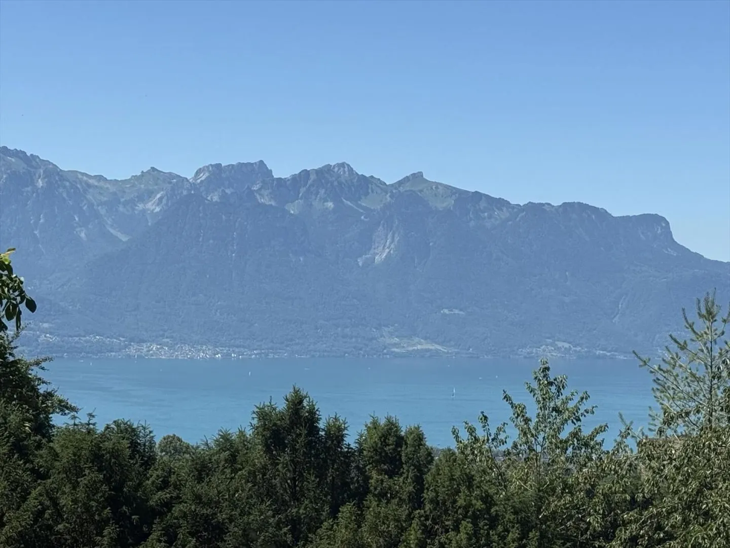 Villa 5.5 Zimmer in Blonay - Foto 3 von 13