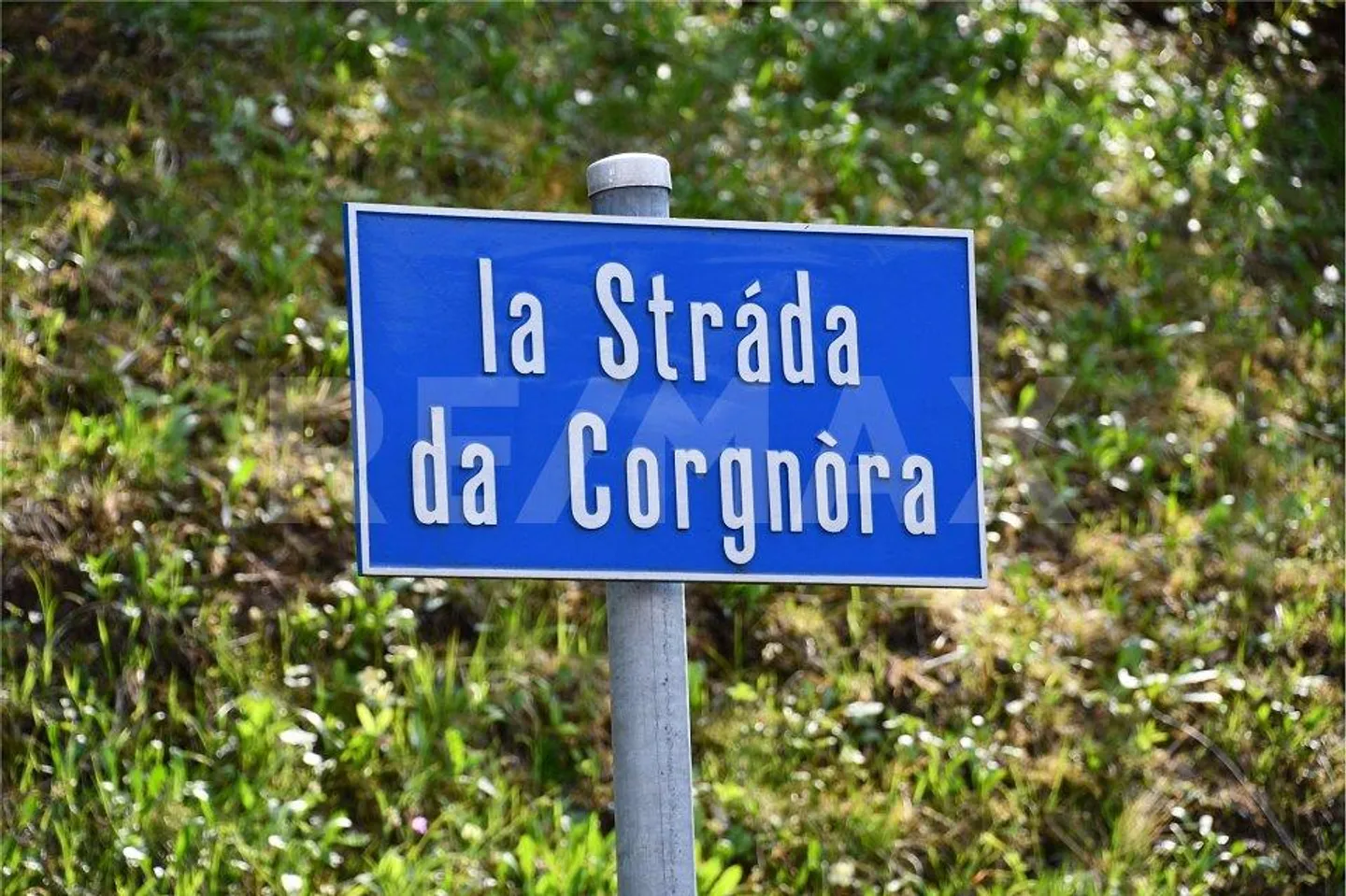 Gambarogno - Terrain de construction abordable - Photo 8 sur 13