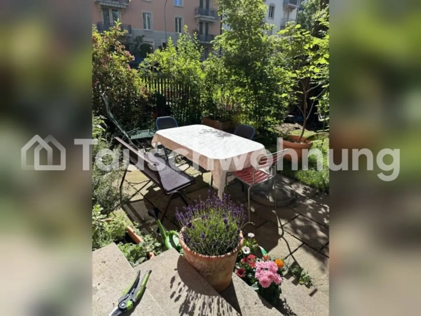 Charmante Gartenwohnung in Zürich - Foto 1 von 1