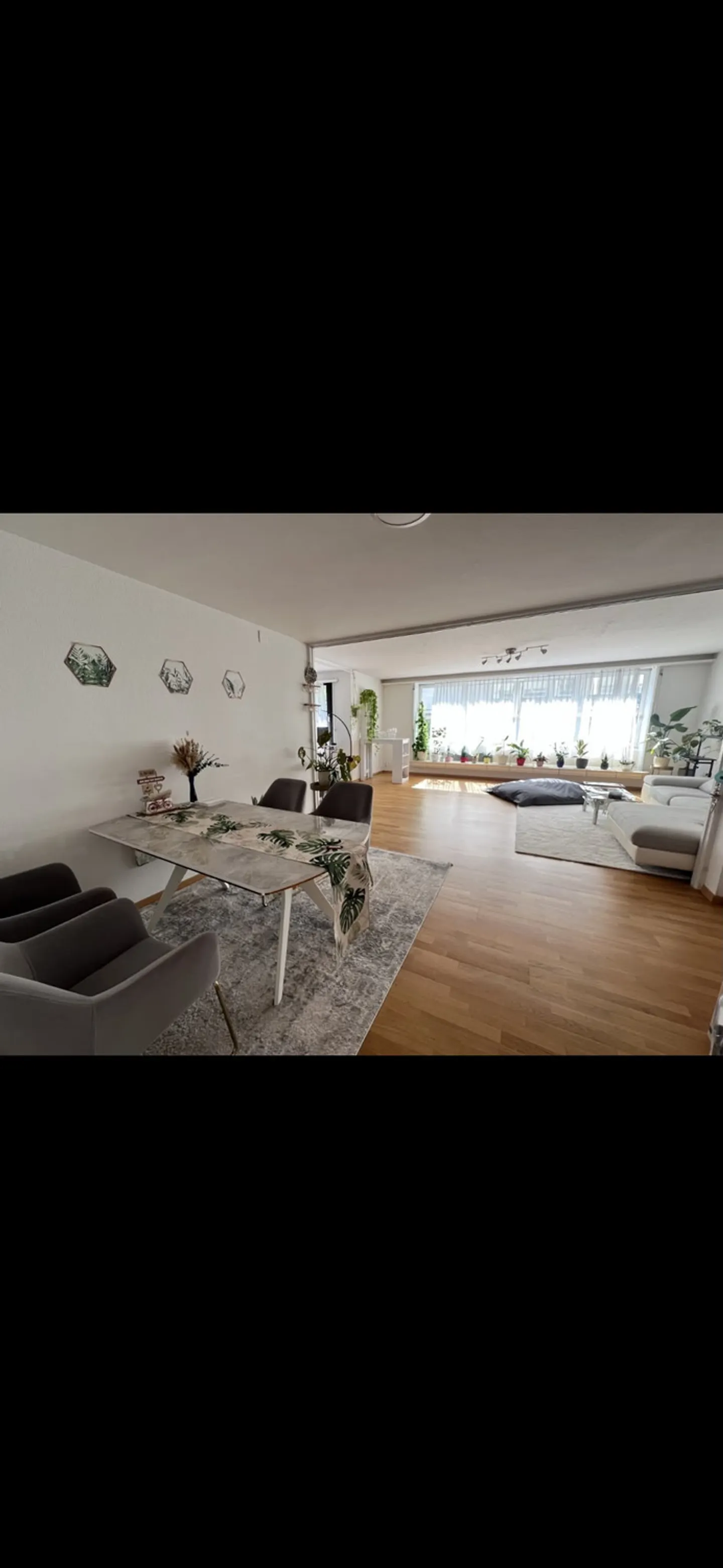 4 ROOM APARTMENT IN ZURICH - DISTRICT 2, FURNISHED, TEMPORARY - Photo 2 of 10