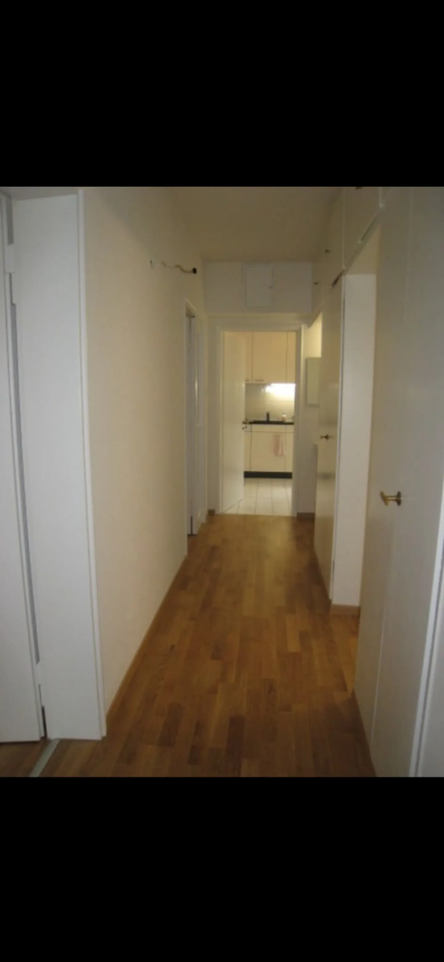 4 ROOM APARTMENT IN ZURICH - DISTRICT 2, FURNISHED, TEMPORARY - Photo 9 of 10